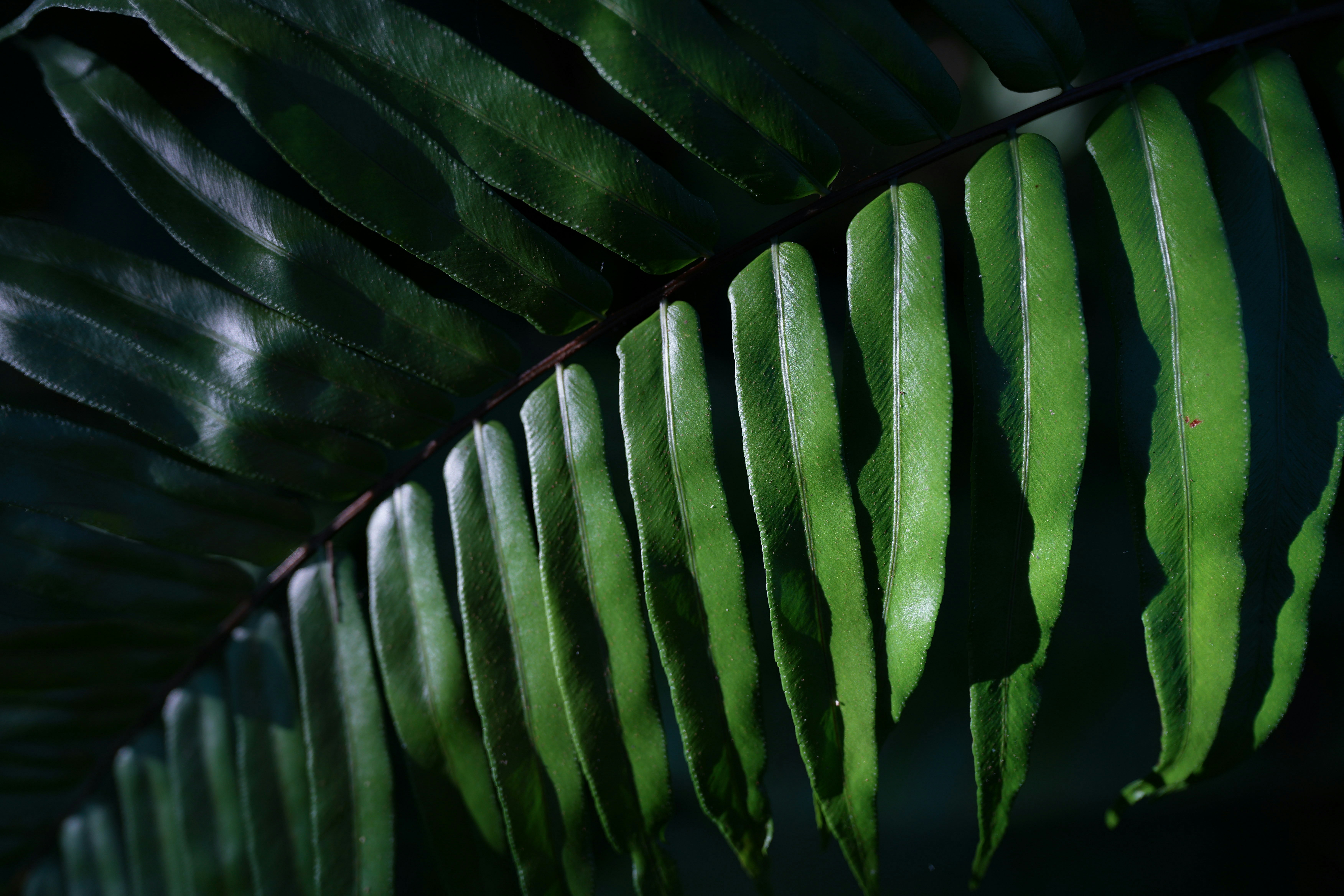 Photo by coffeetree_