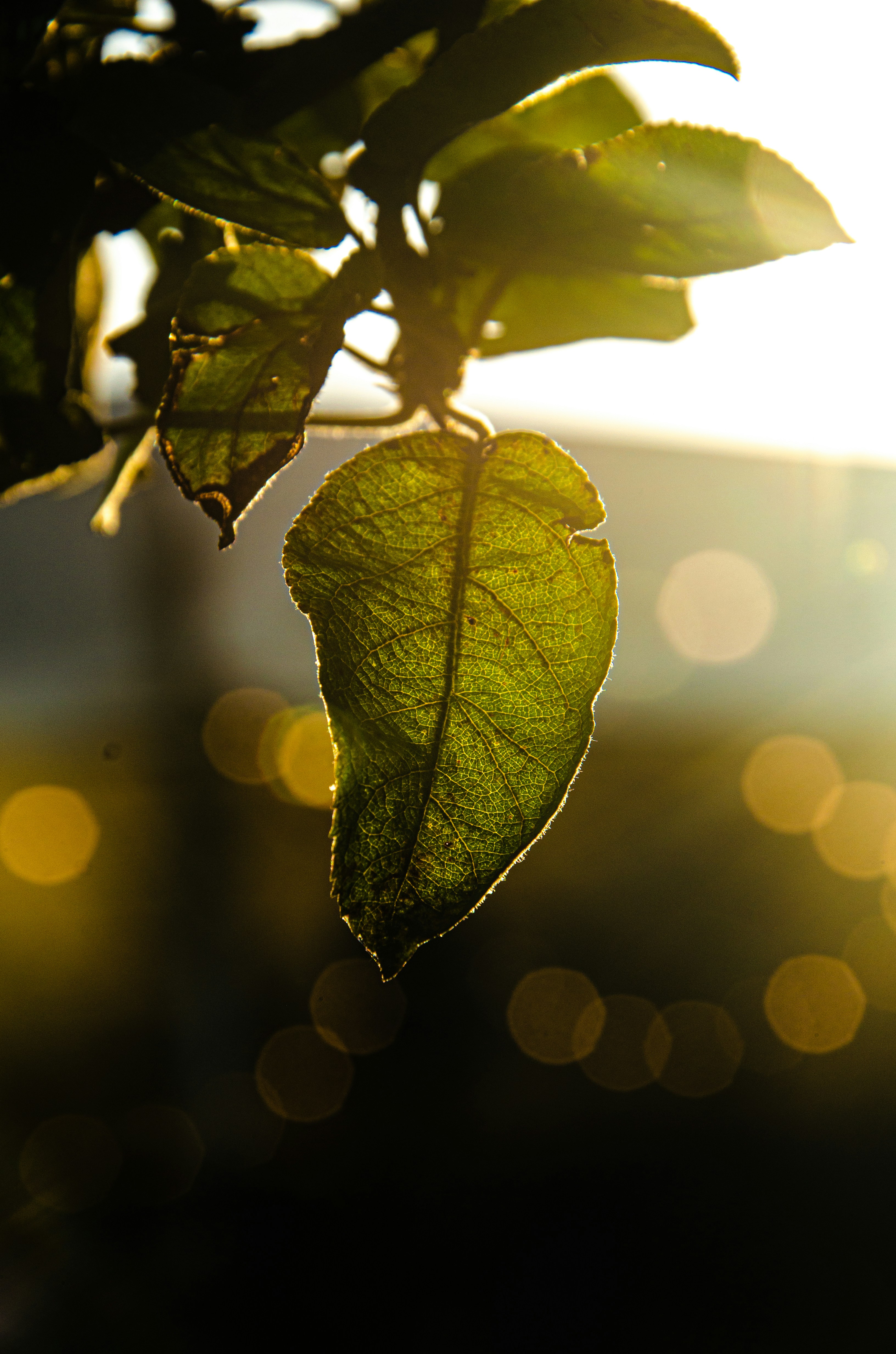 Photo by _florens_spenser_