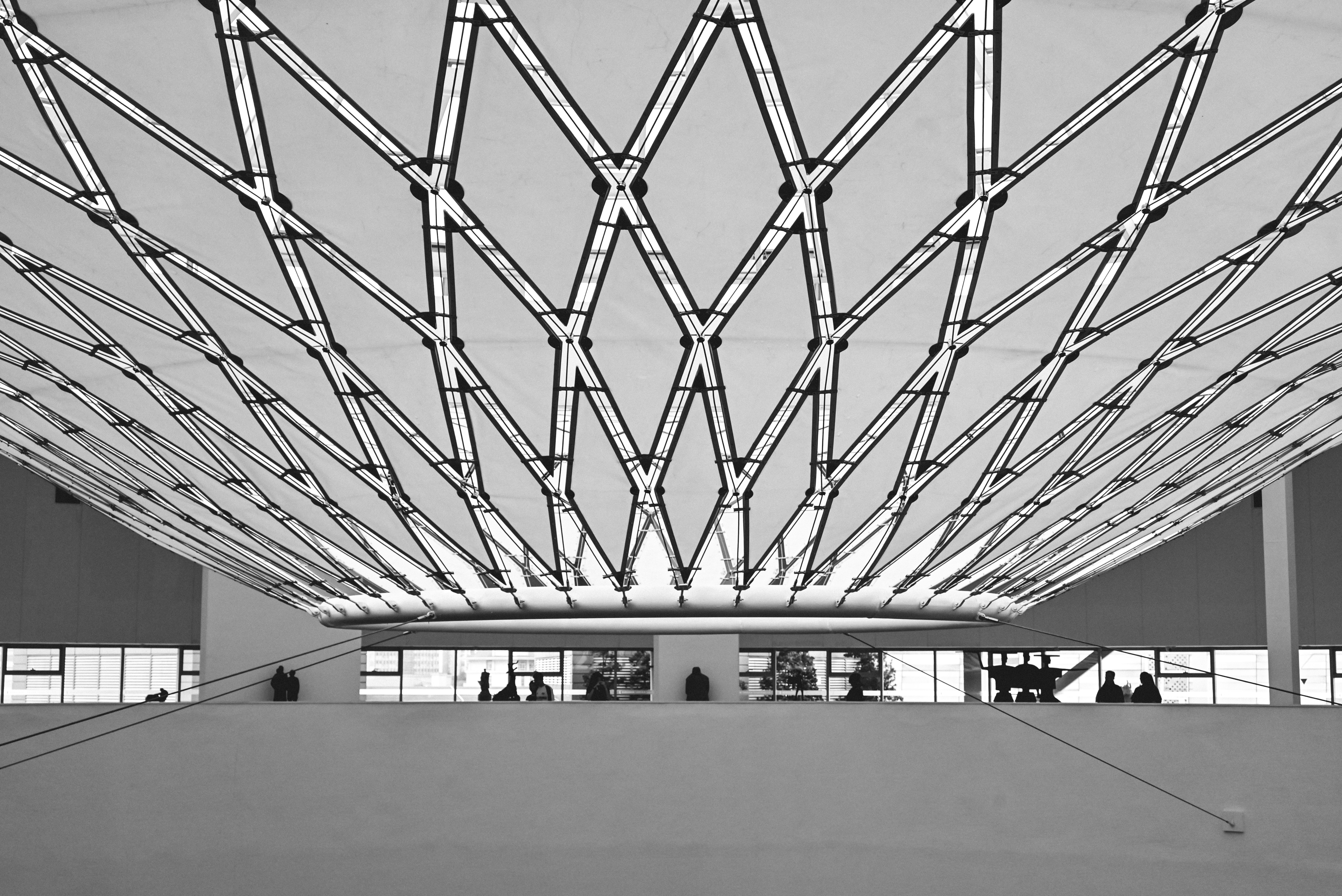 A black and white photo of a ceiling