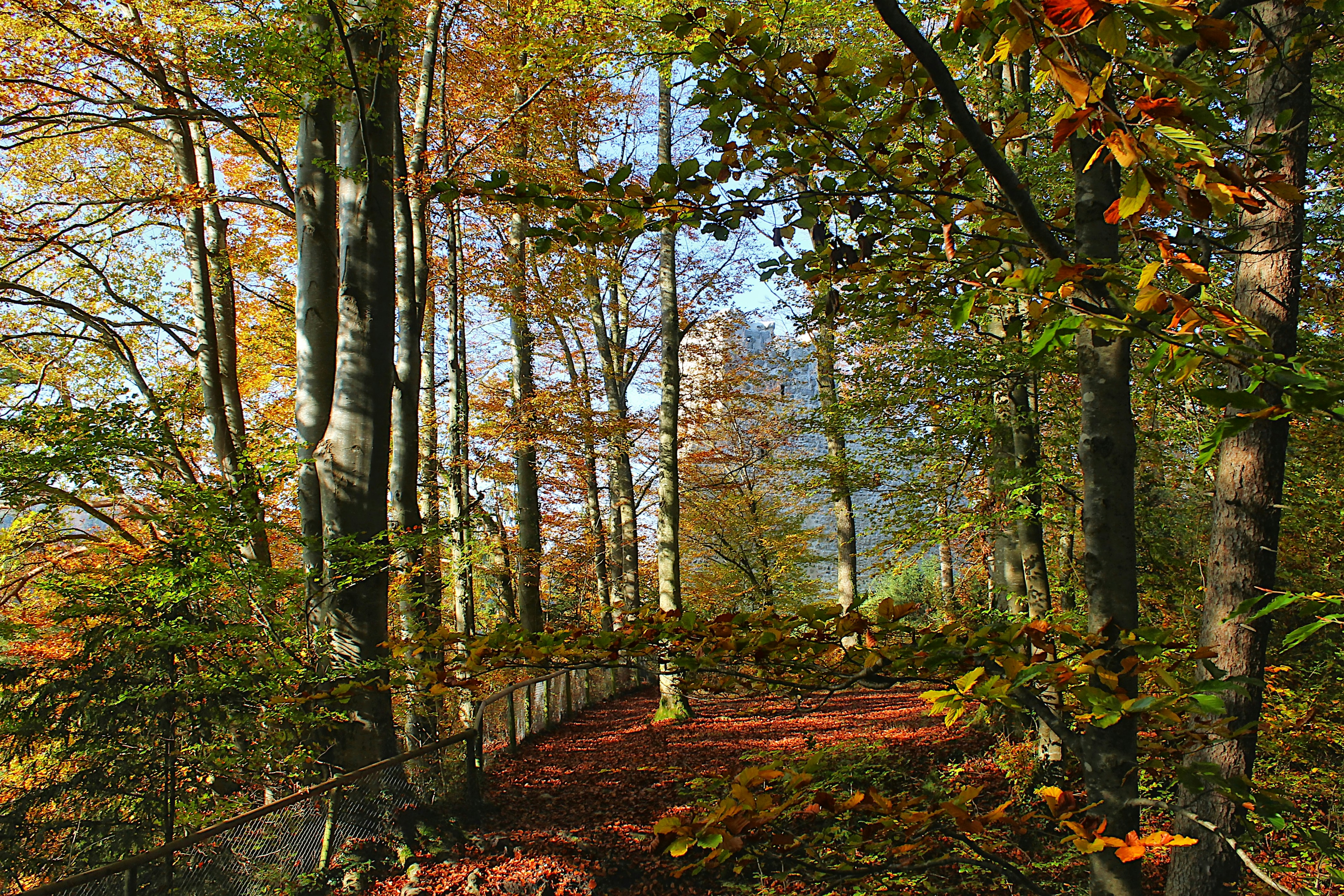 Photo by appenzellmoto