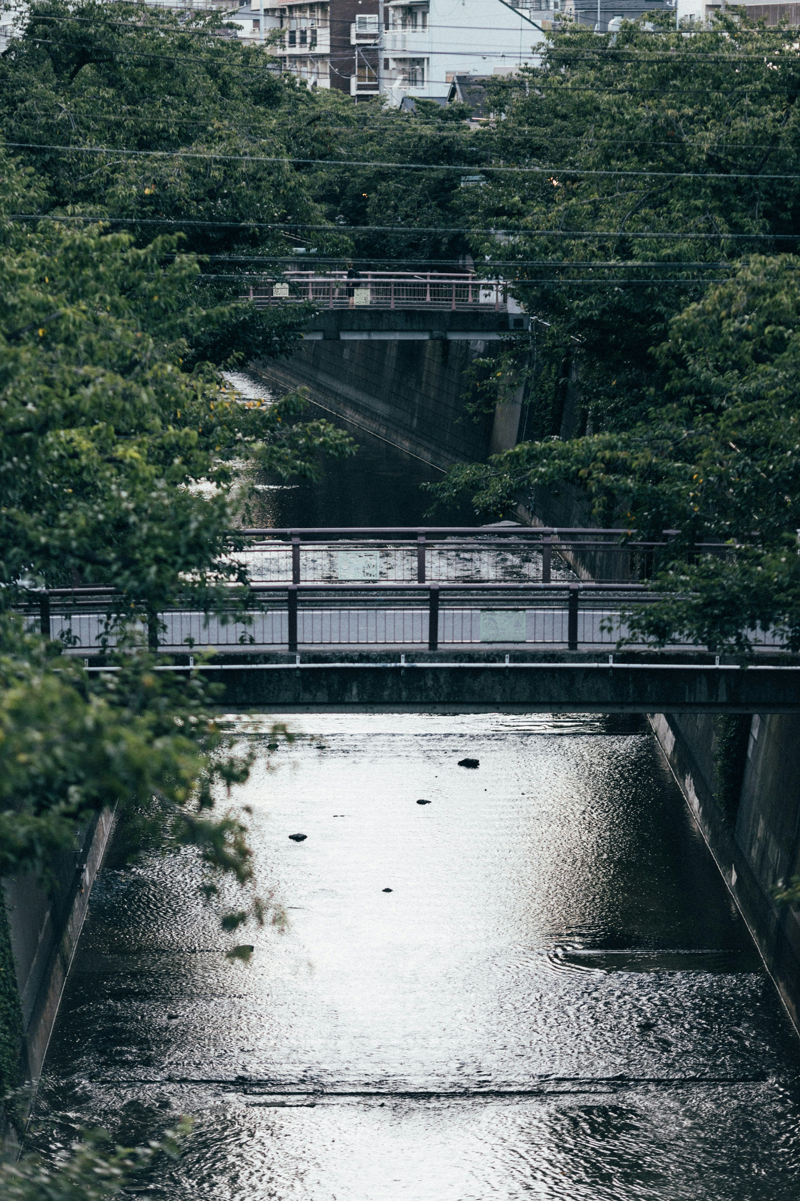 Photo by tsuyoshikozu