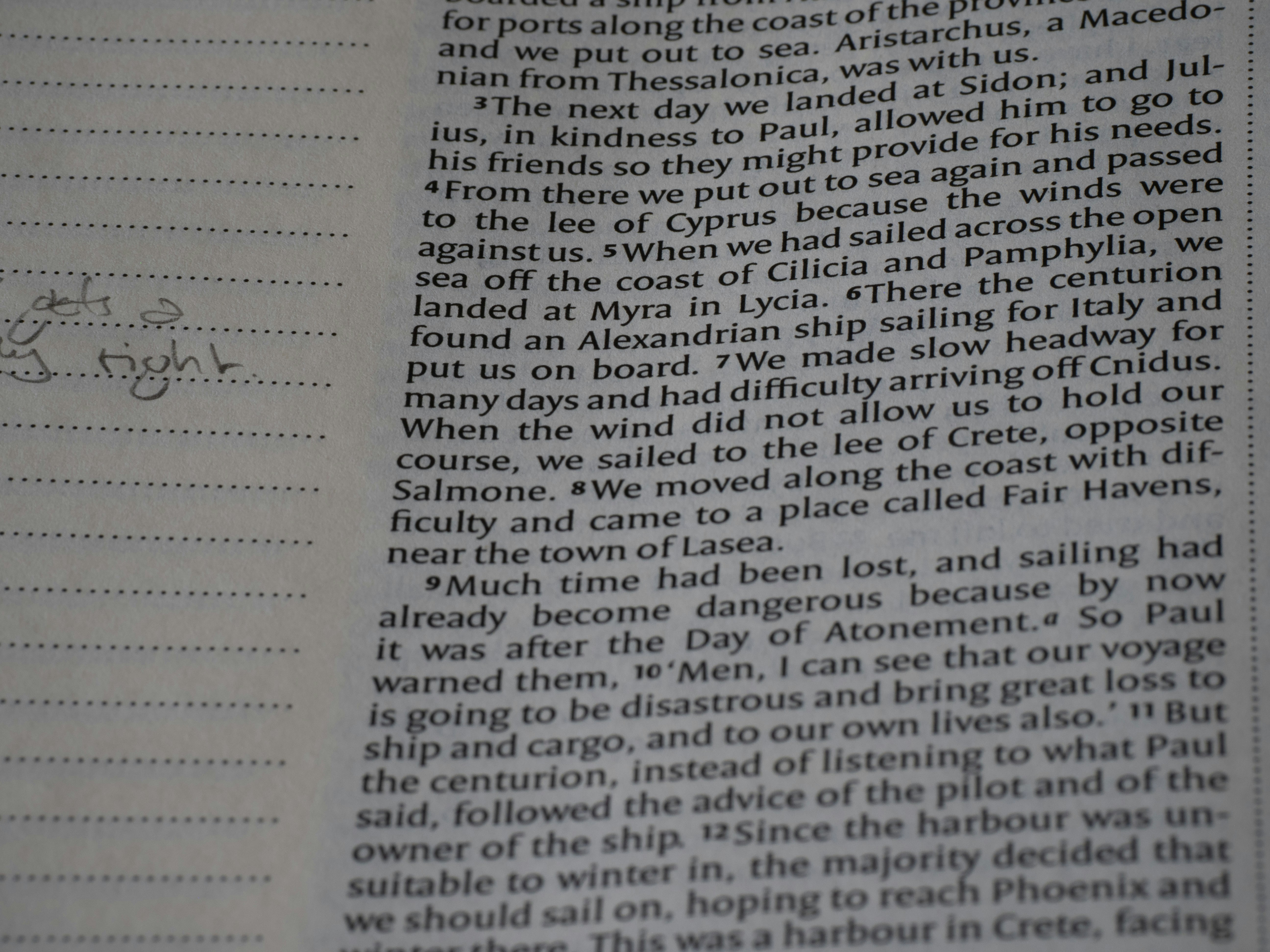 Choosing Between Ahrefs and Moz