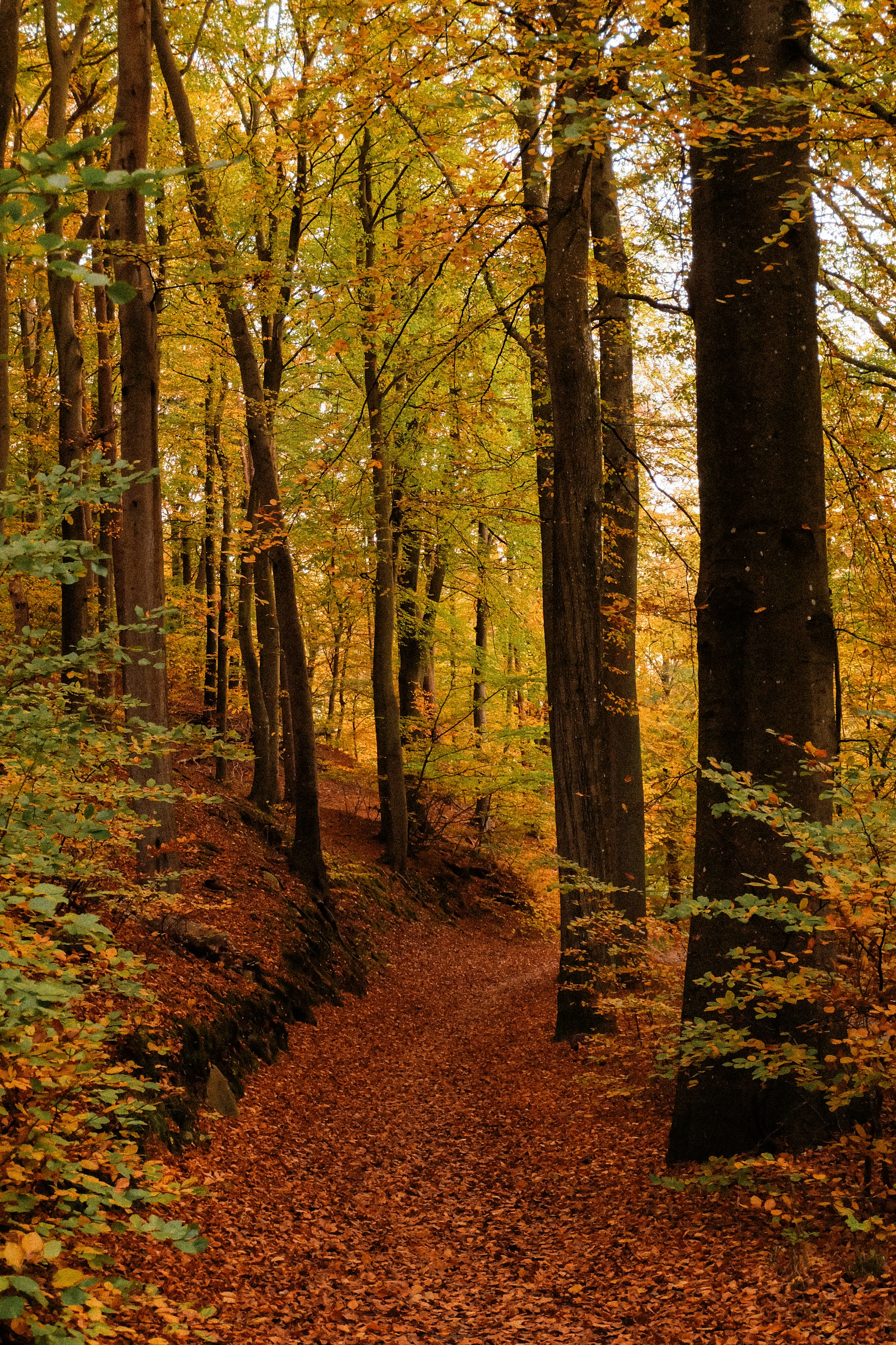 Photo by toft_pilgaard