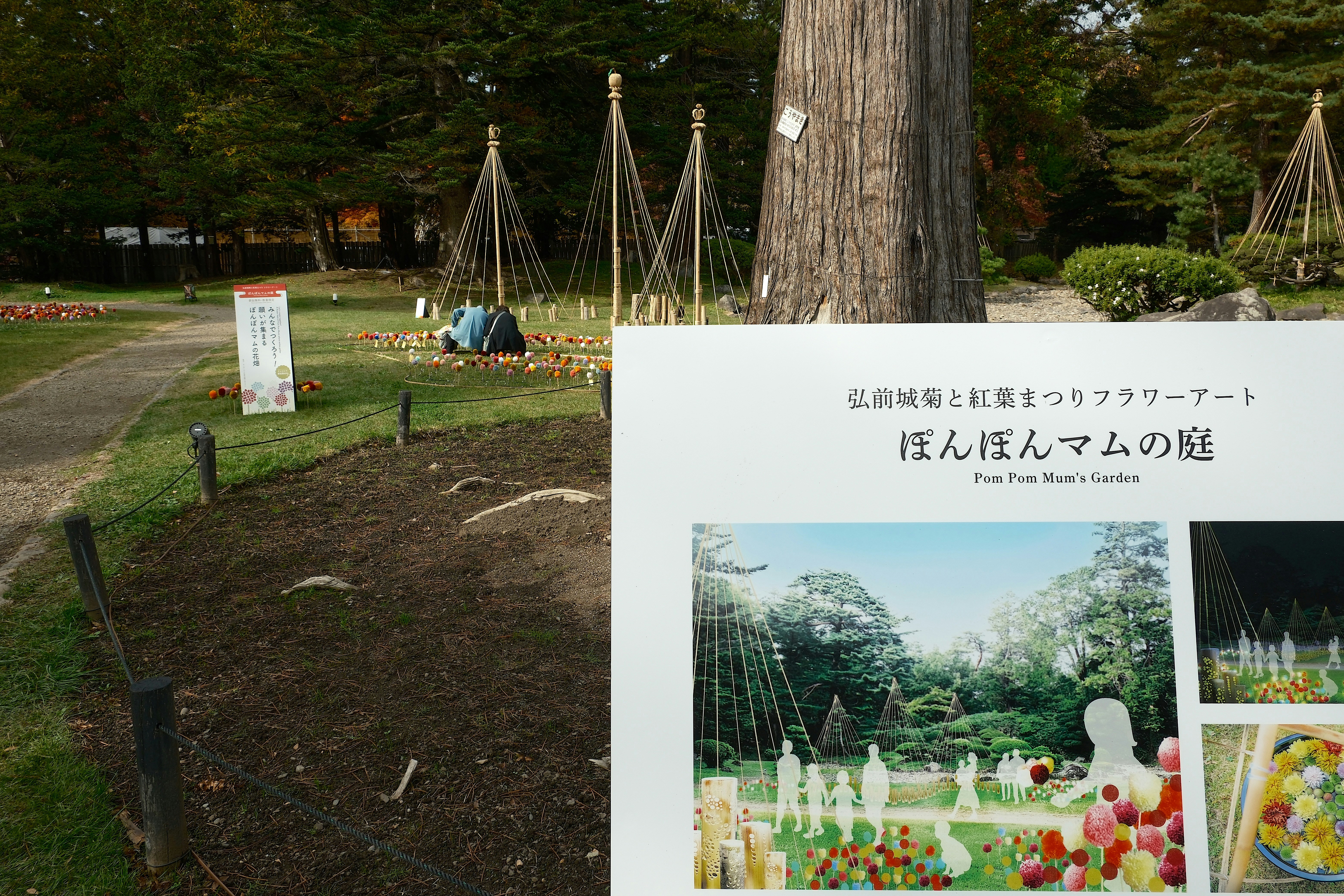 בלוג ומאמרים