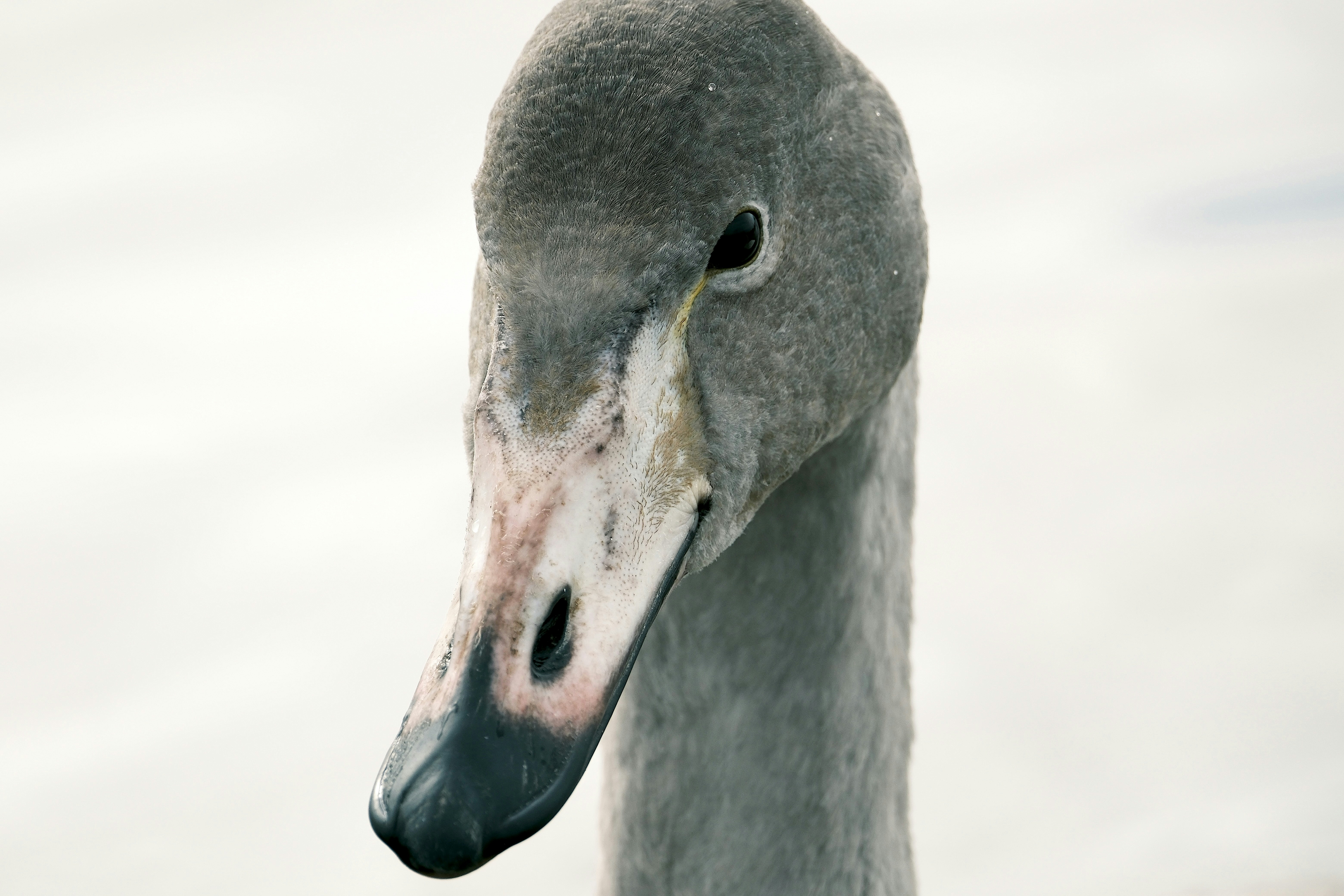 Photo by seiya_maeda