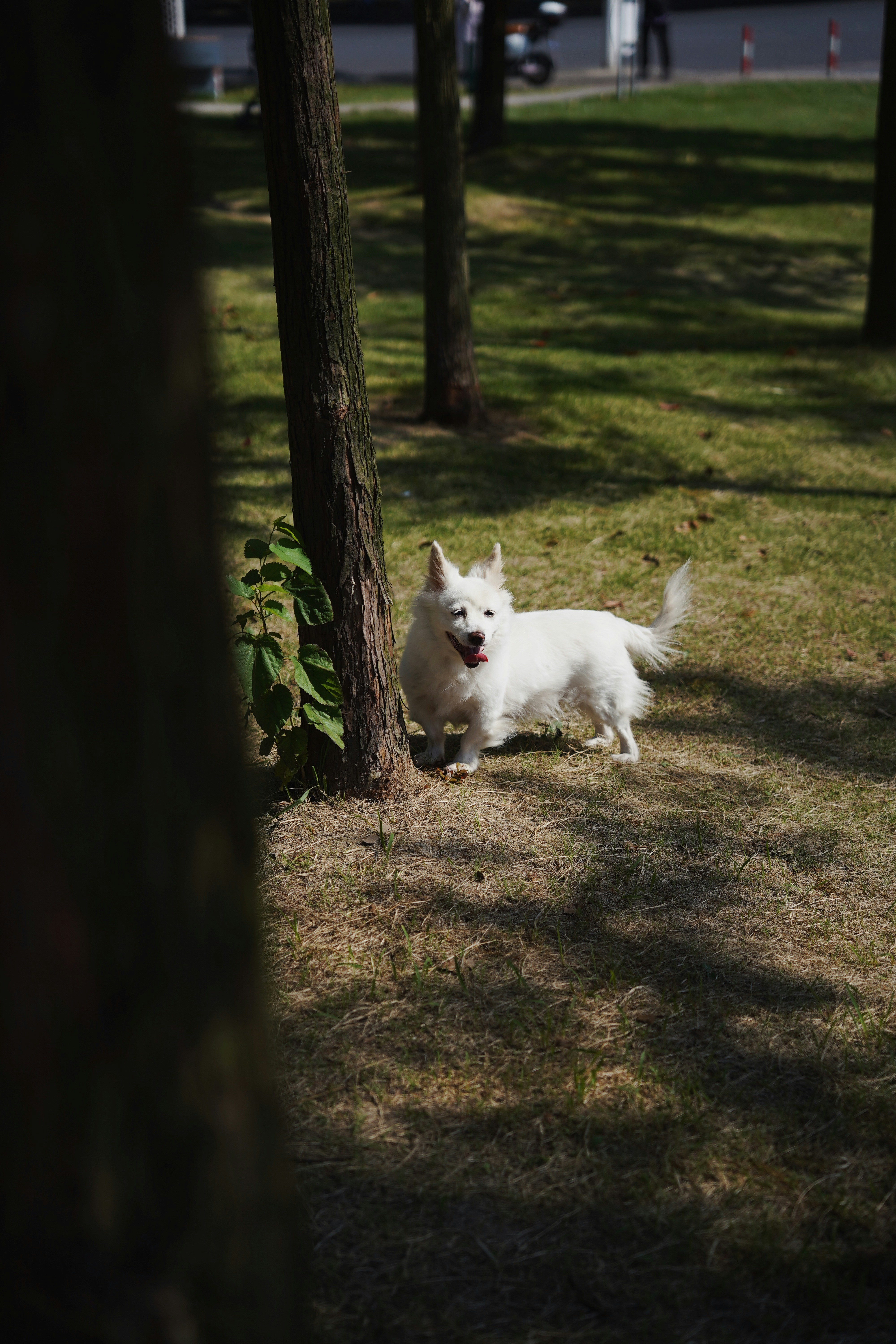 Photo by vincewatson