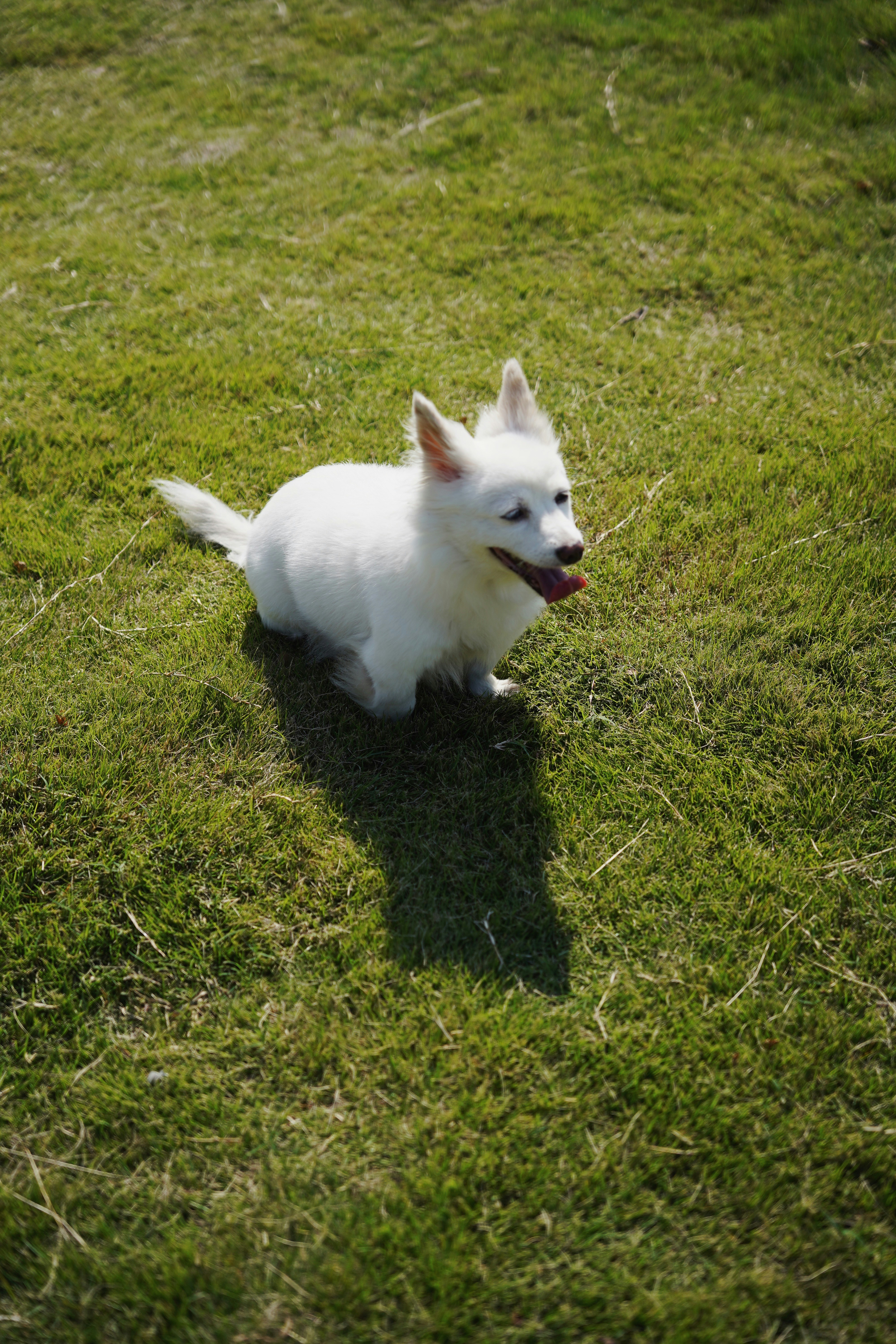 Photo by vincewatson