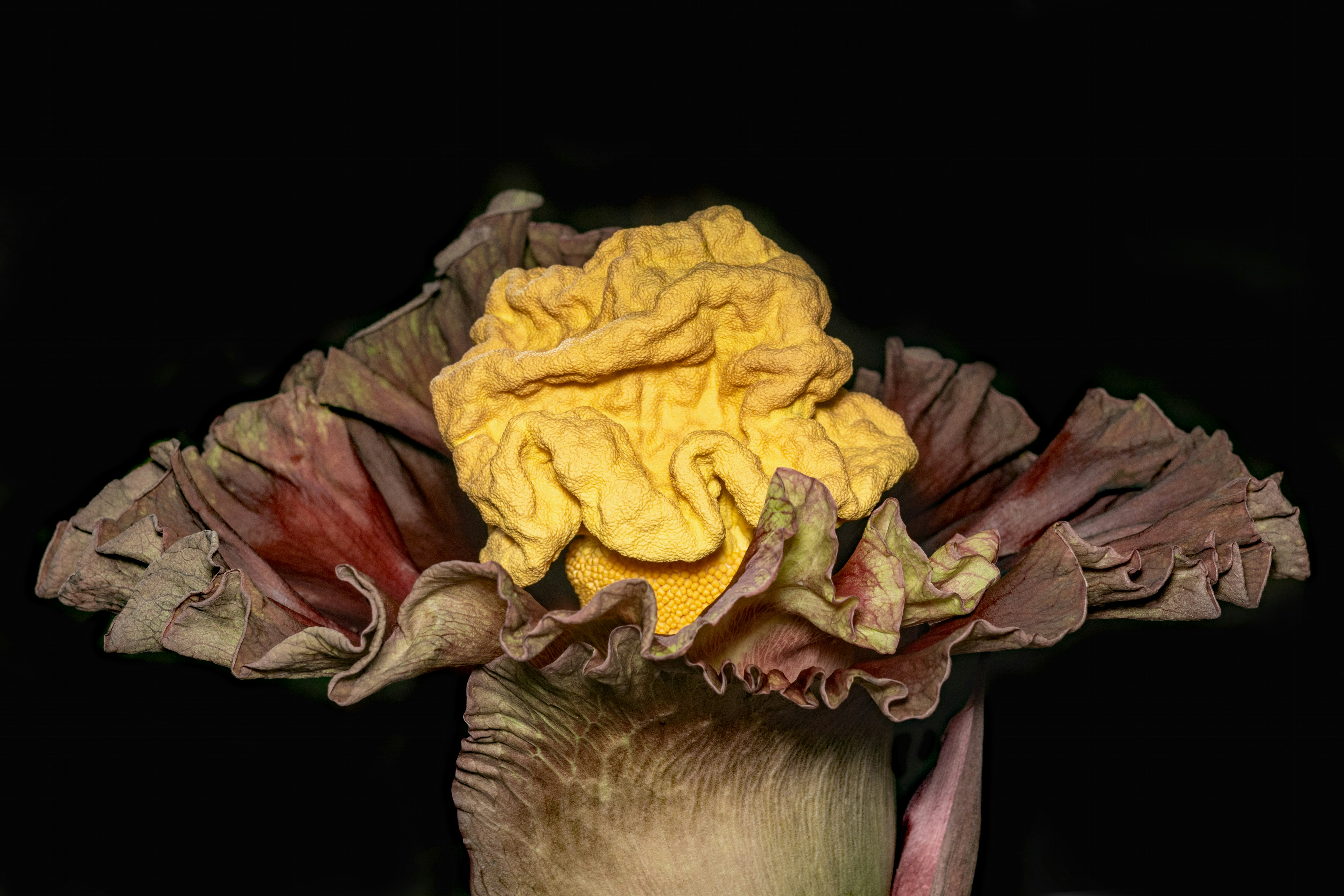 A vase with a yellow flower on top of it