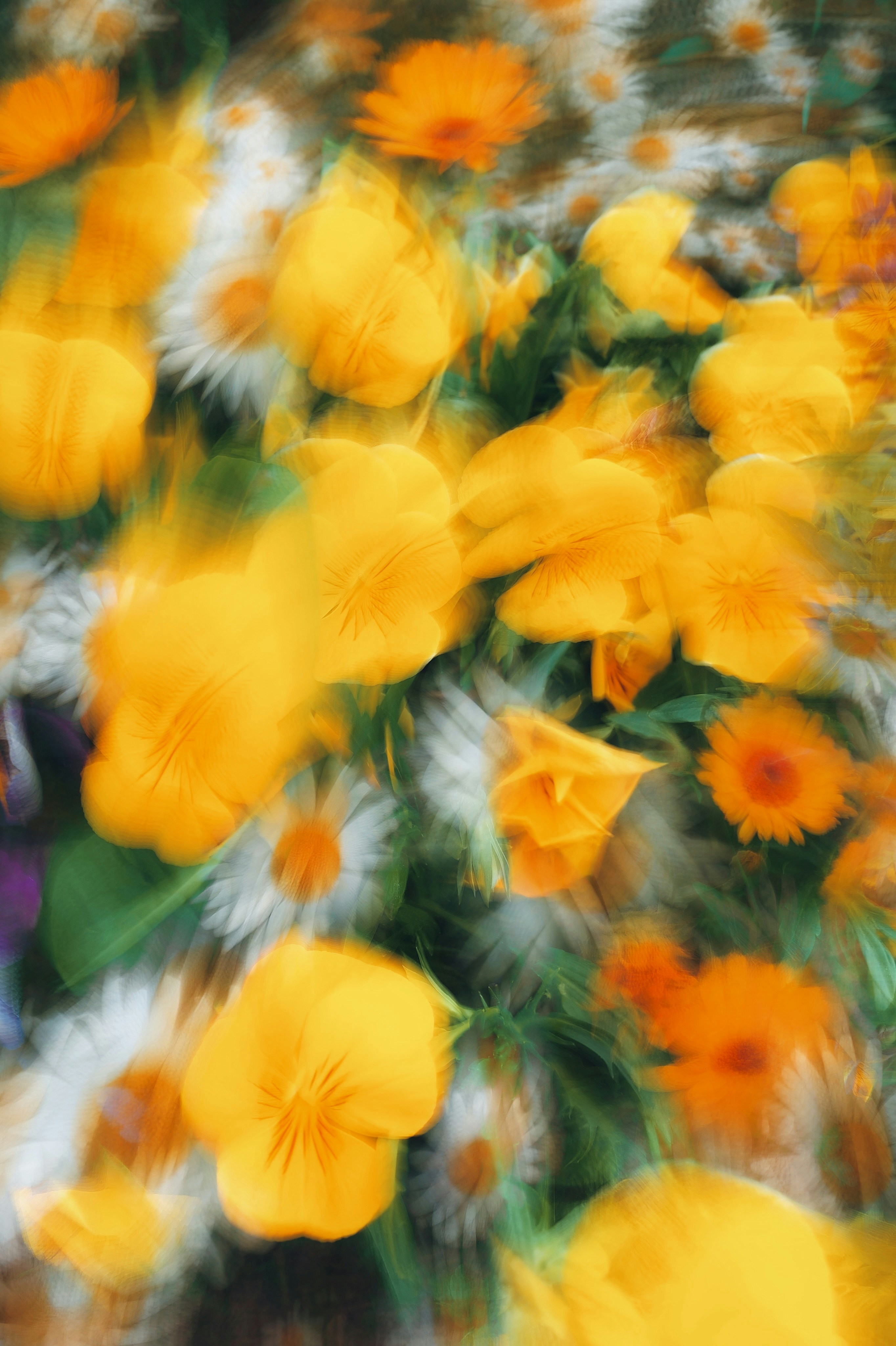A blurry photo of yellow and white flowers