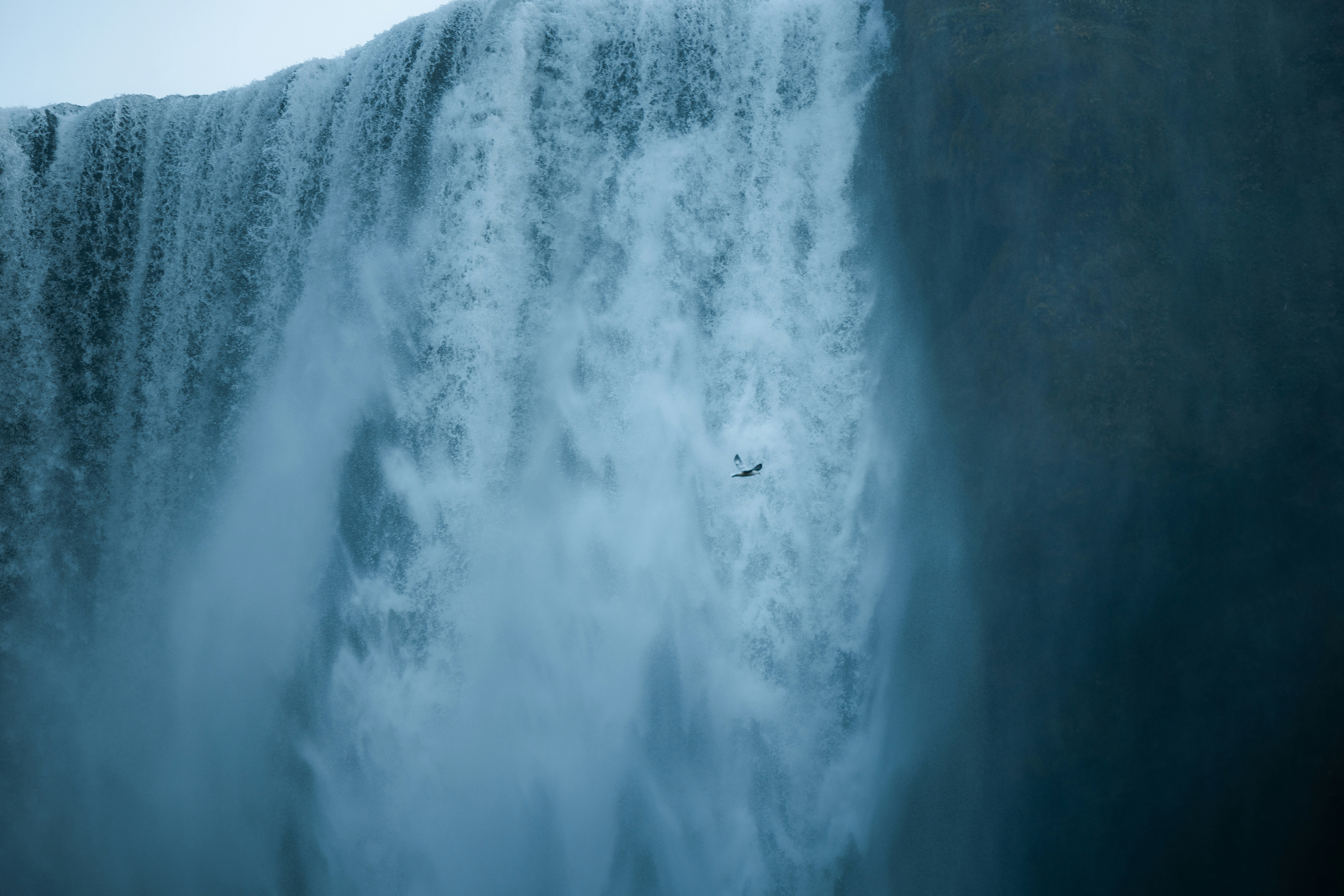 Daily Productive Sharing 1105 - Full Speed