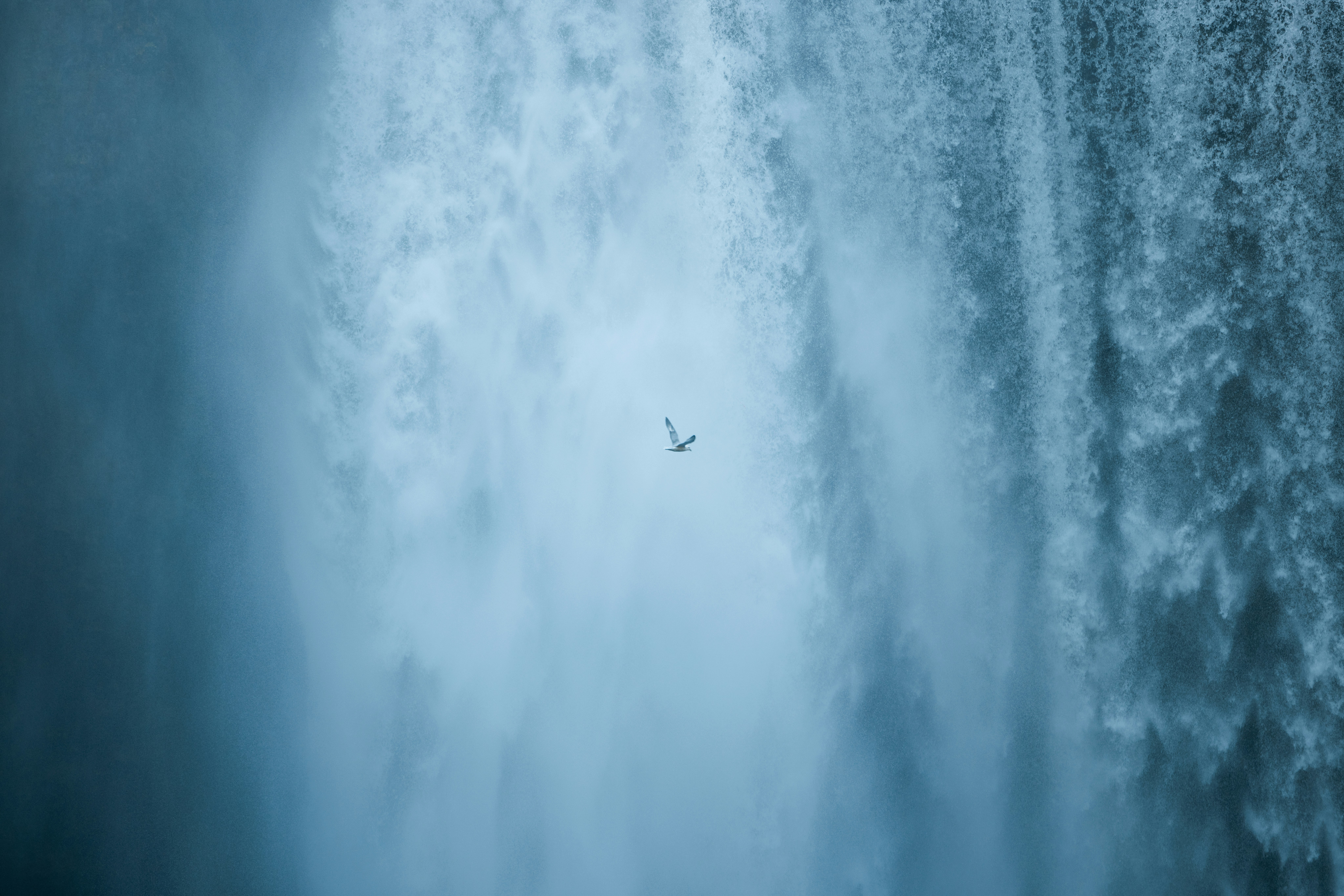 How to Make the Most of Your Stay: Understanding Hotel Amenities for Every Type of Traveler