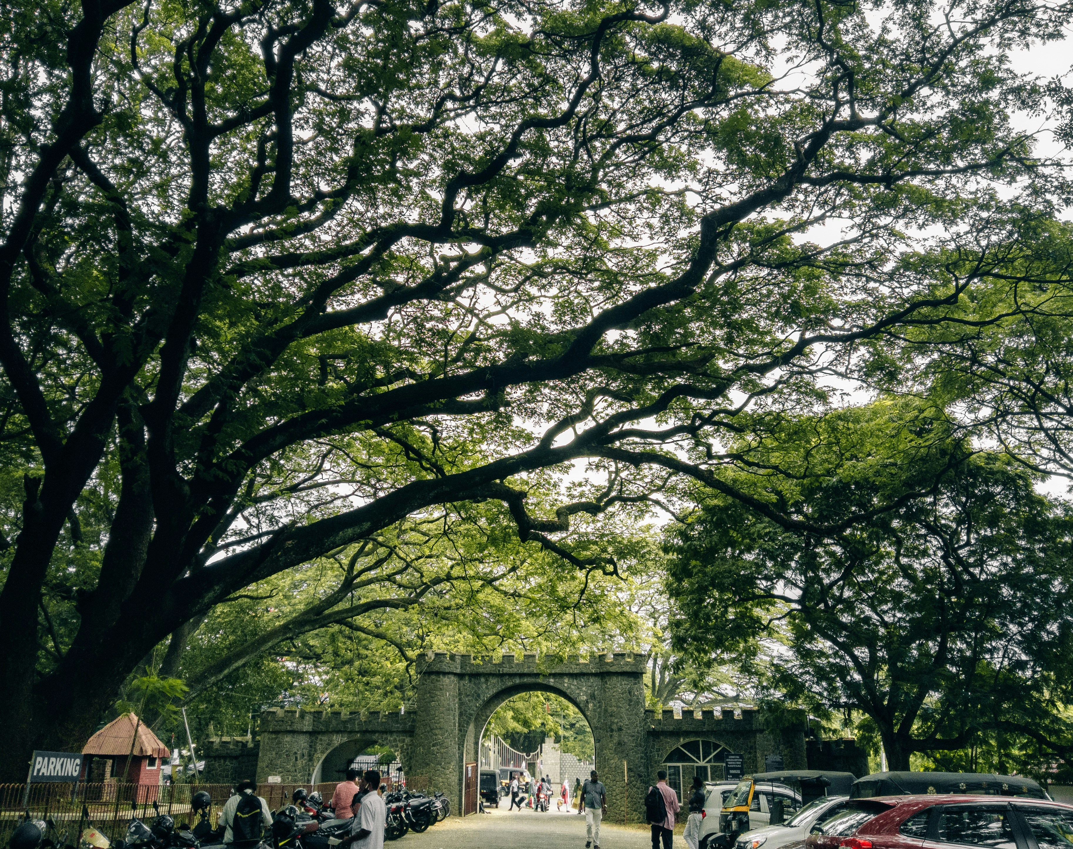 Eine Gruppe von Autos, die am Straßenrand geparkt sind