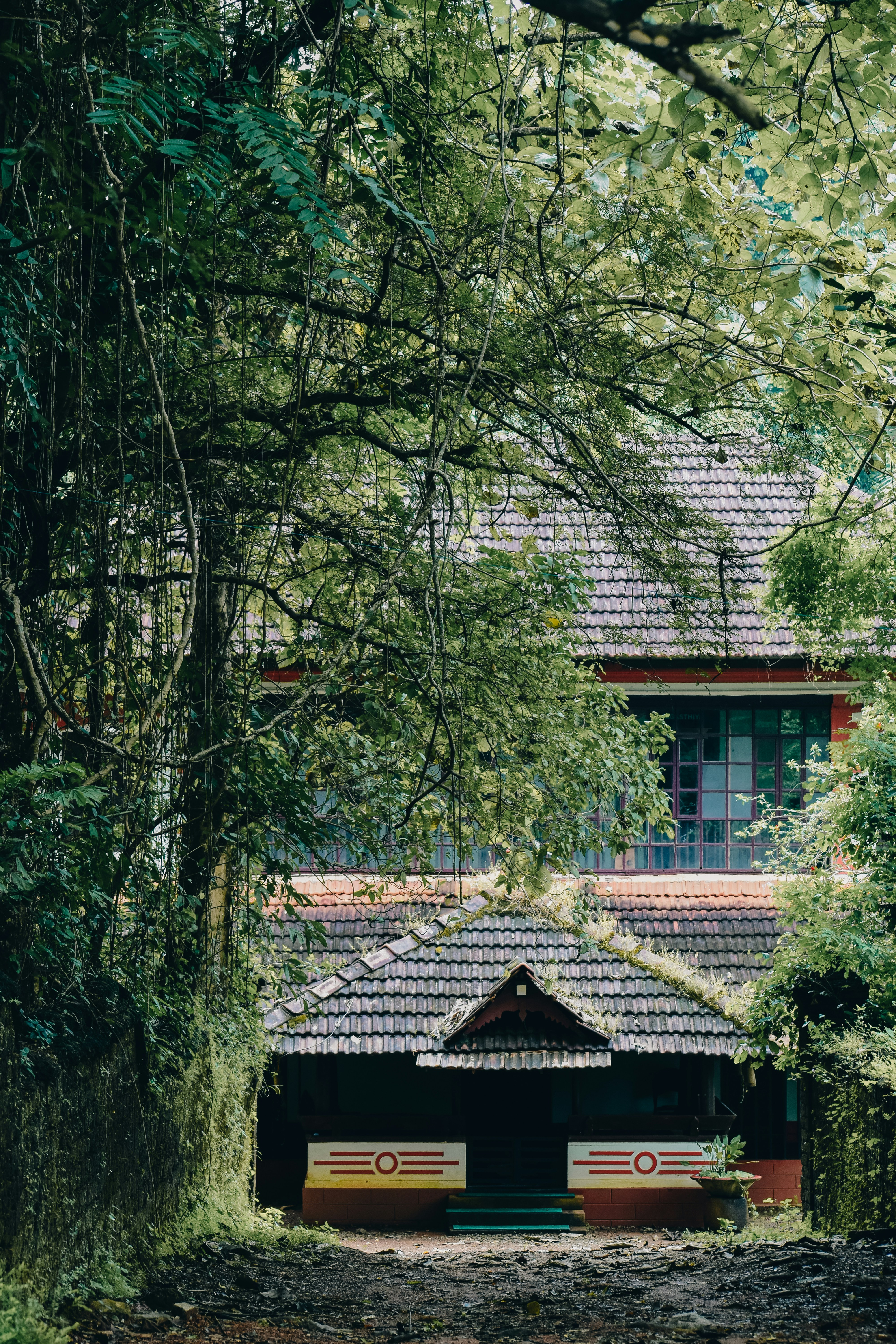 Ein Haus mitten in einem Waldgebiet
