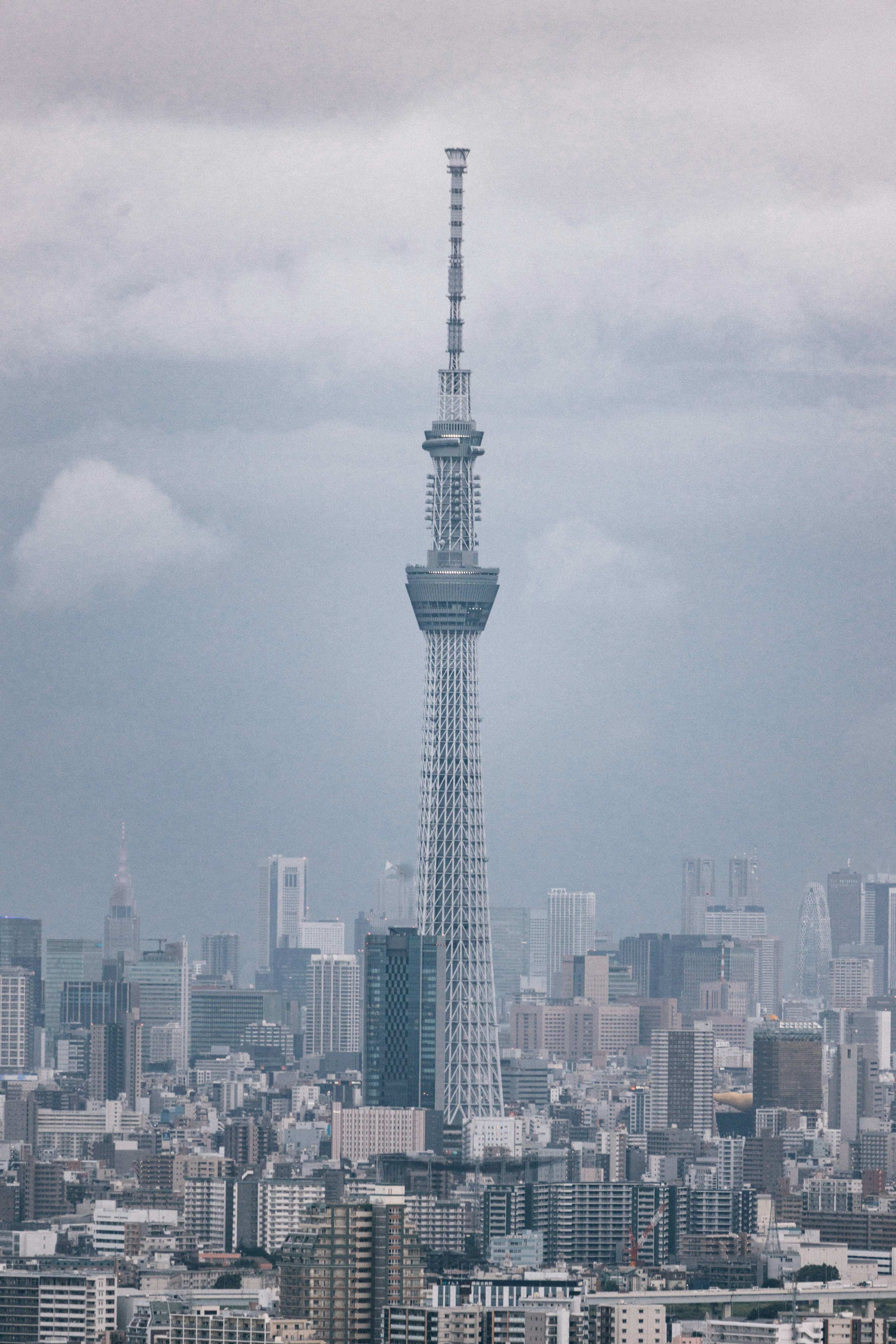 Photo by tsuyoshikozu