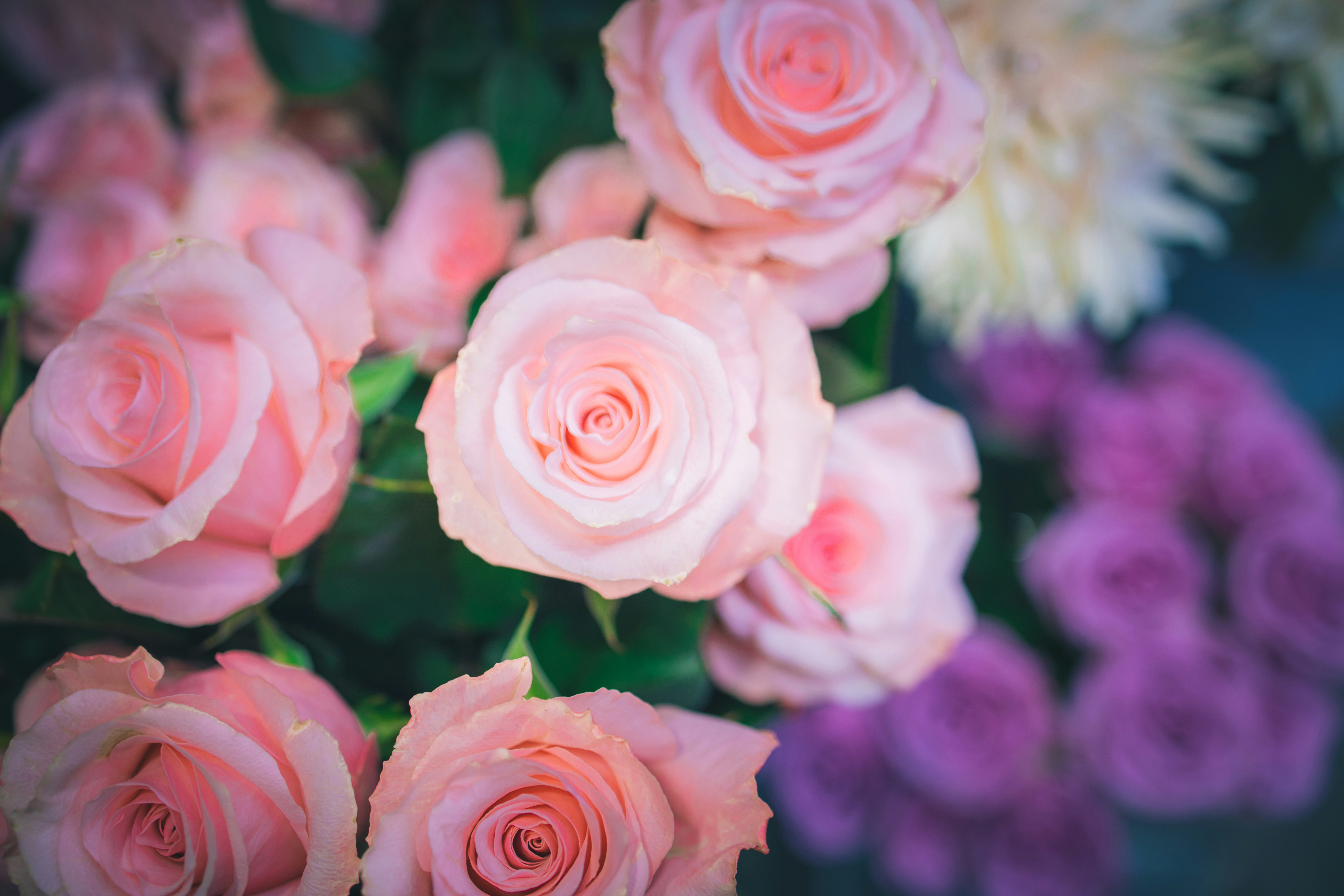 Photo by arttoinspire