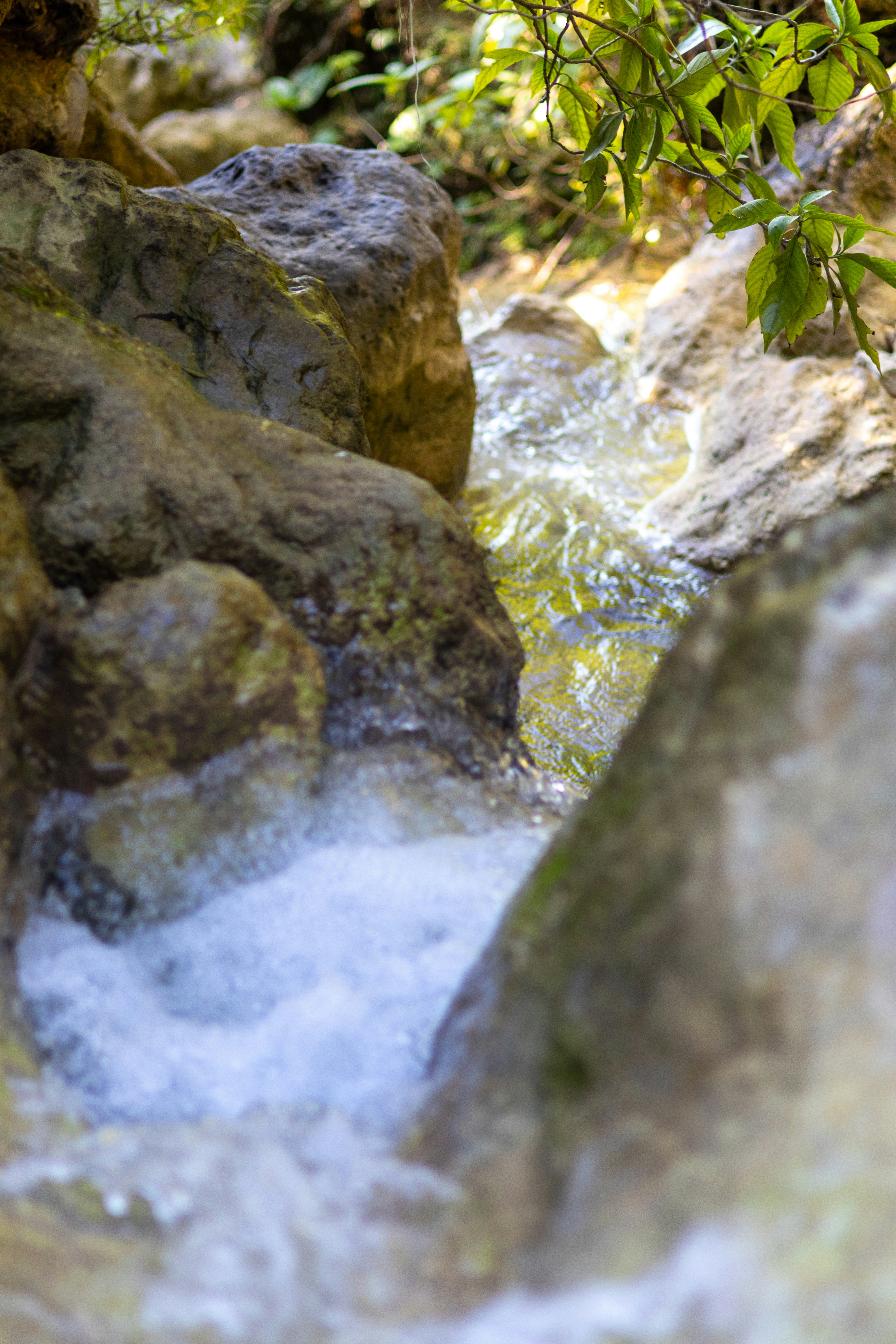 Scenic water cascading down from mountain surrounded by lush green forest