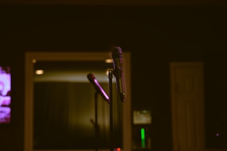 A microphone and a television in a dark room