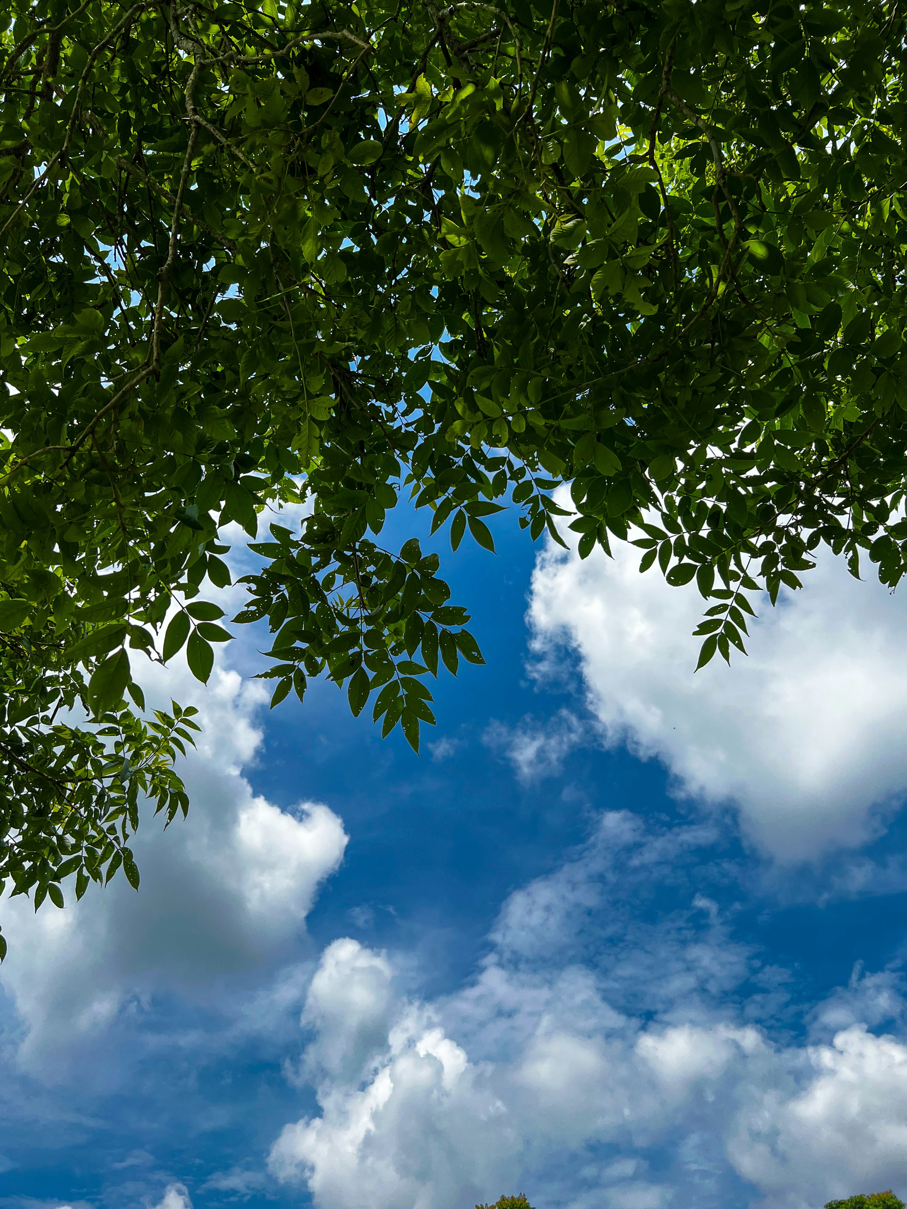 Photo by illusionxavi