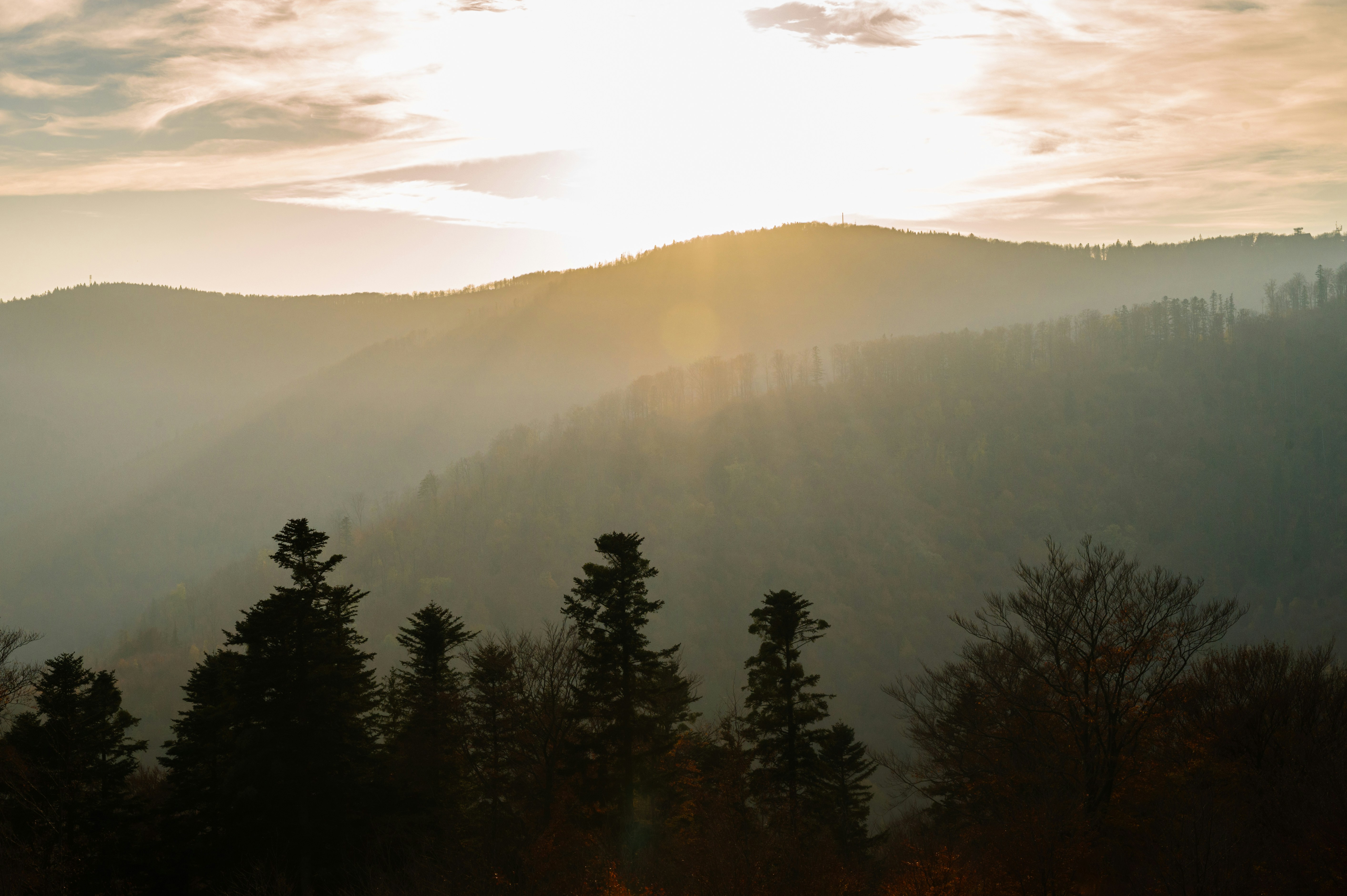 Photo by alexandra_p_d