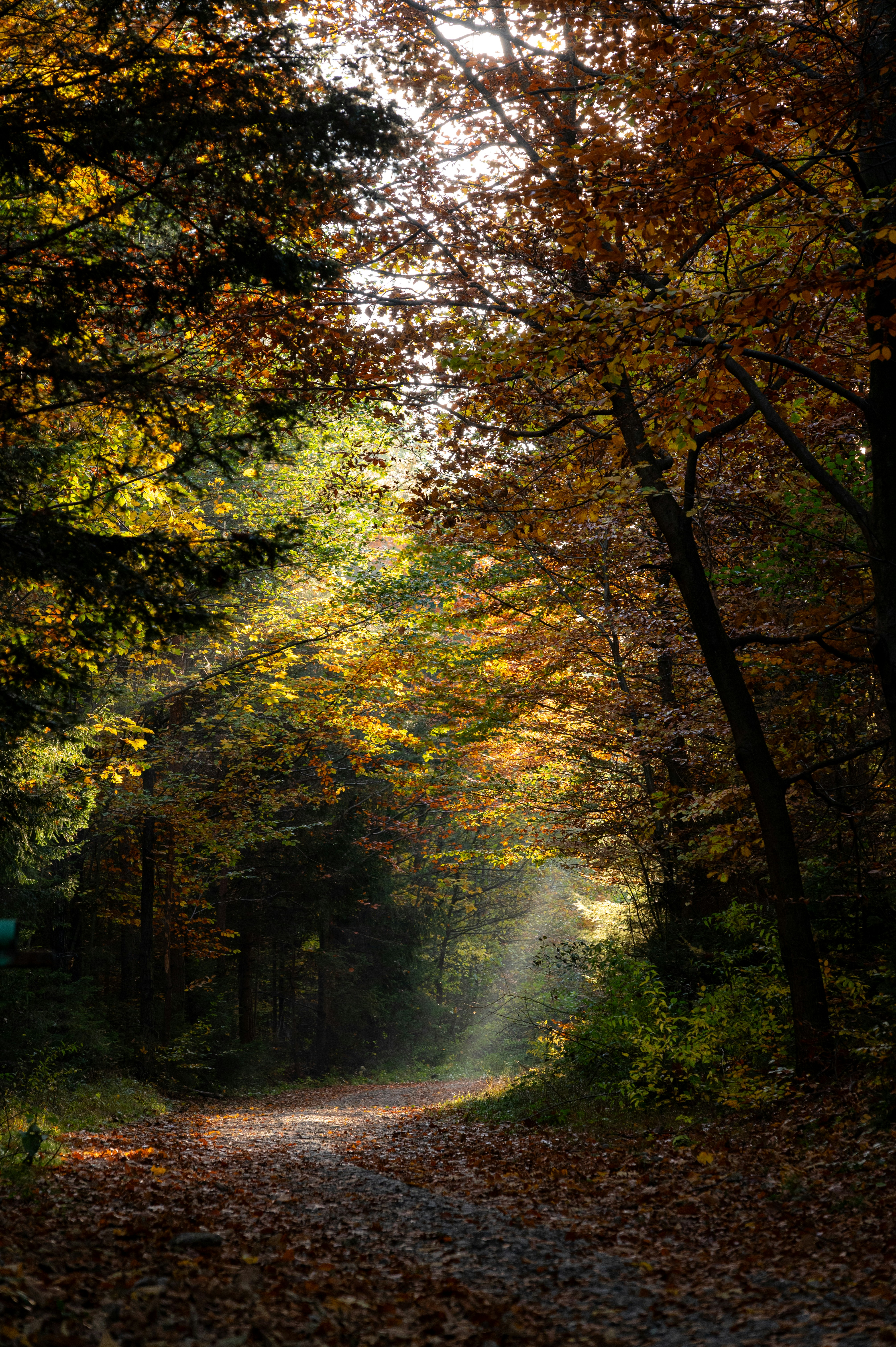 Photo by alexandra_p_d