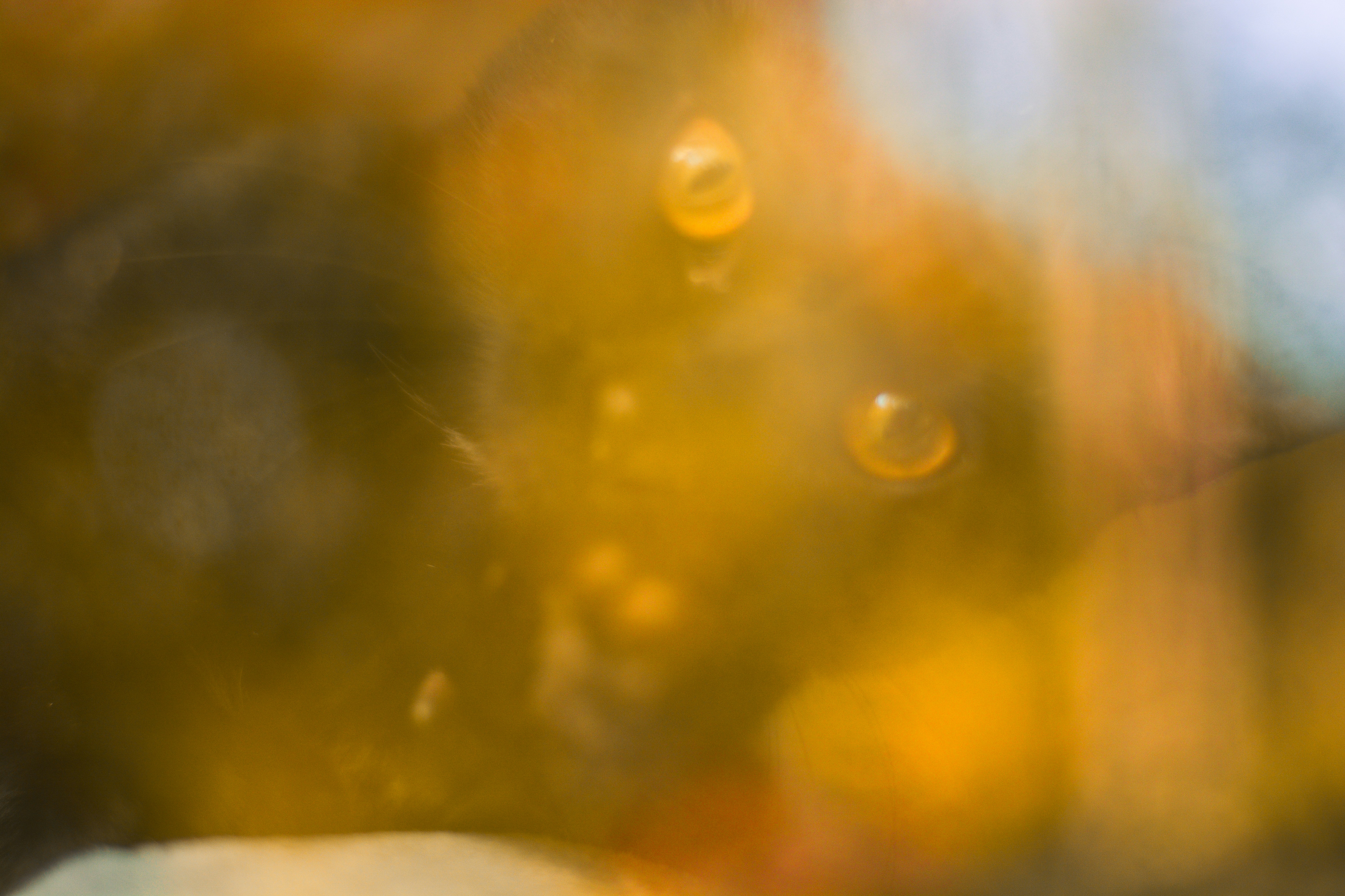 Photo by meaghcafferty