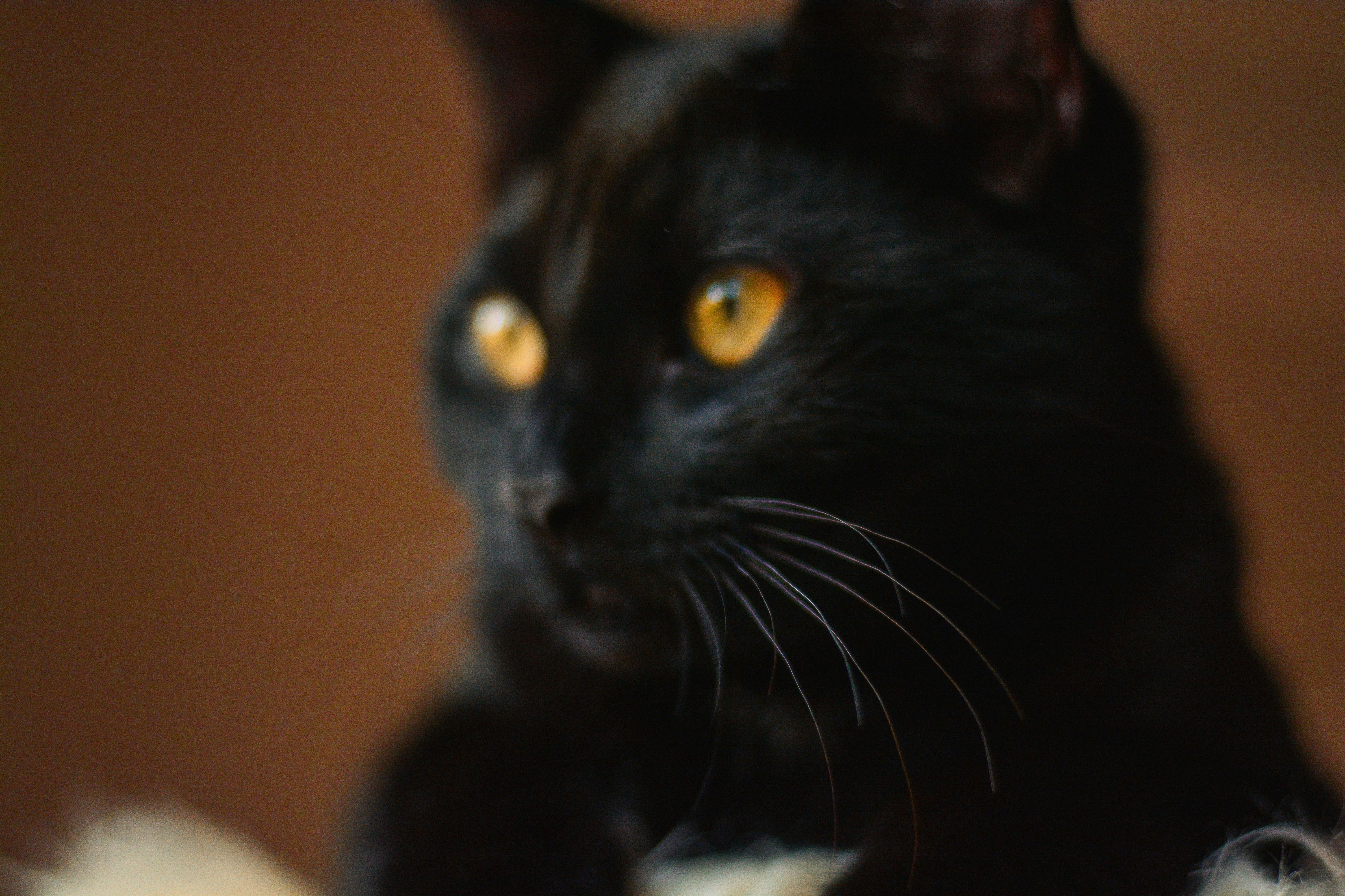 Photo by meaghcafferty