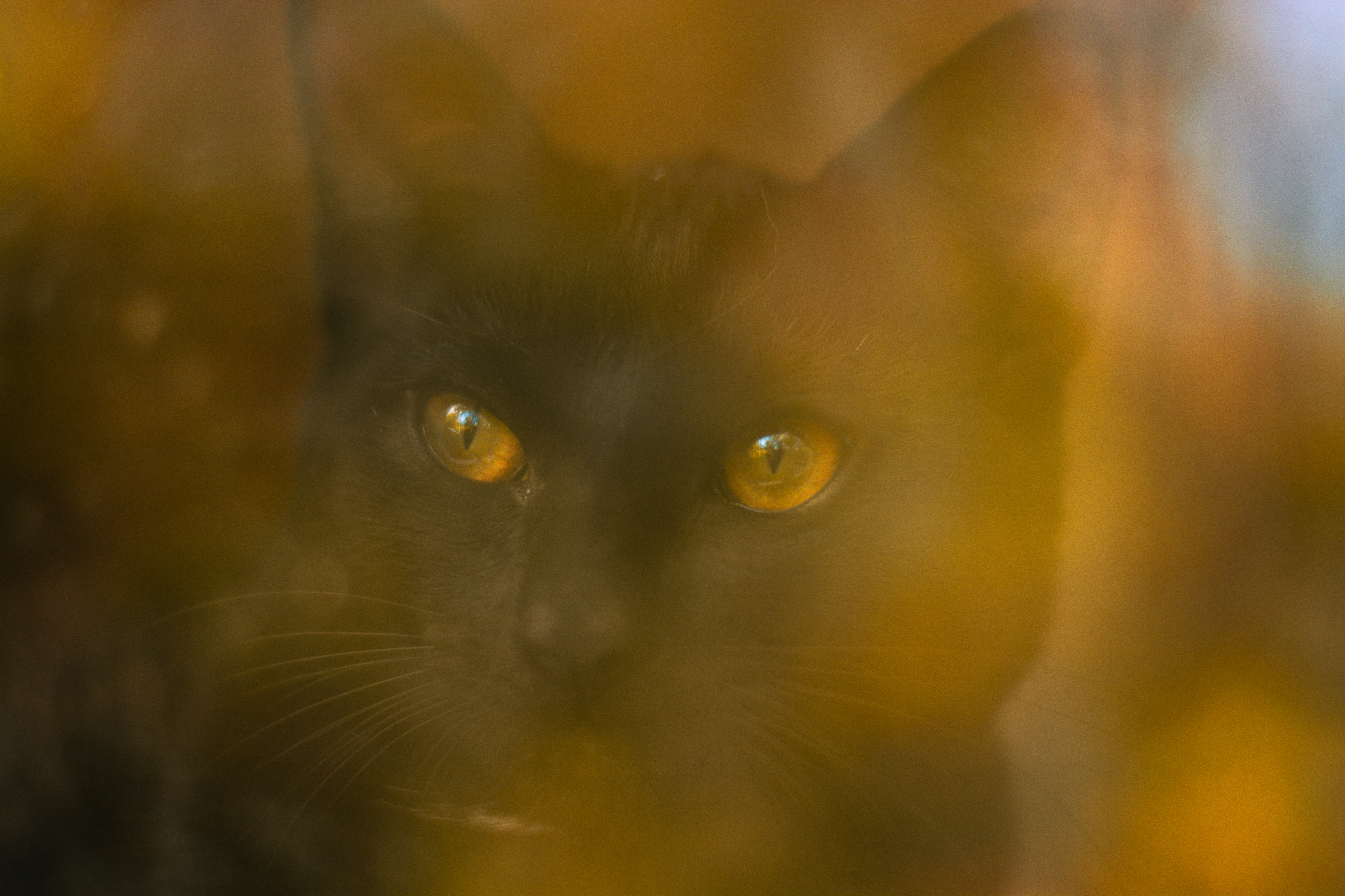 Photo by meaghcafferty