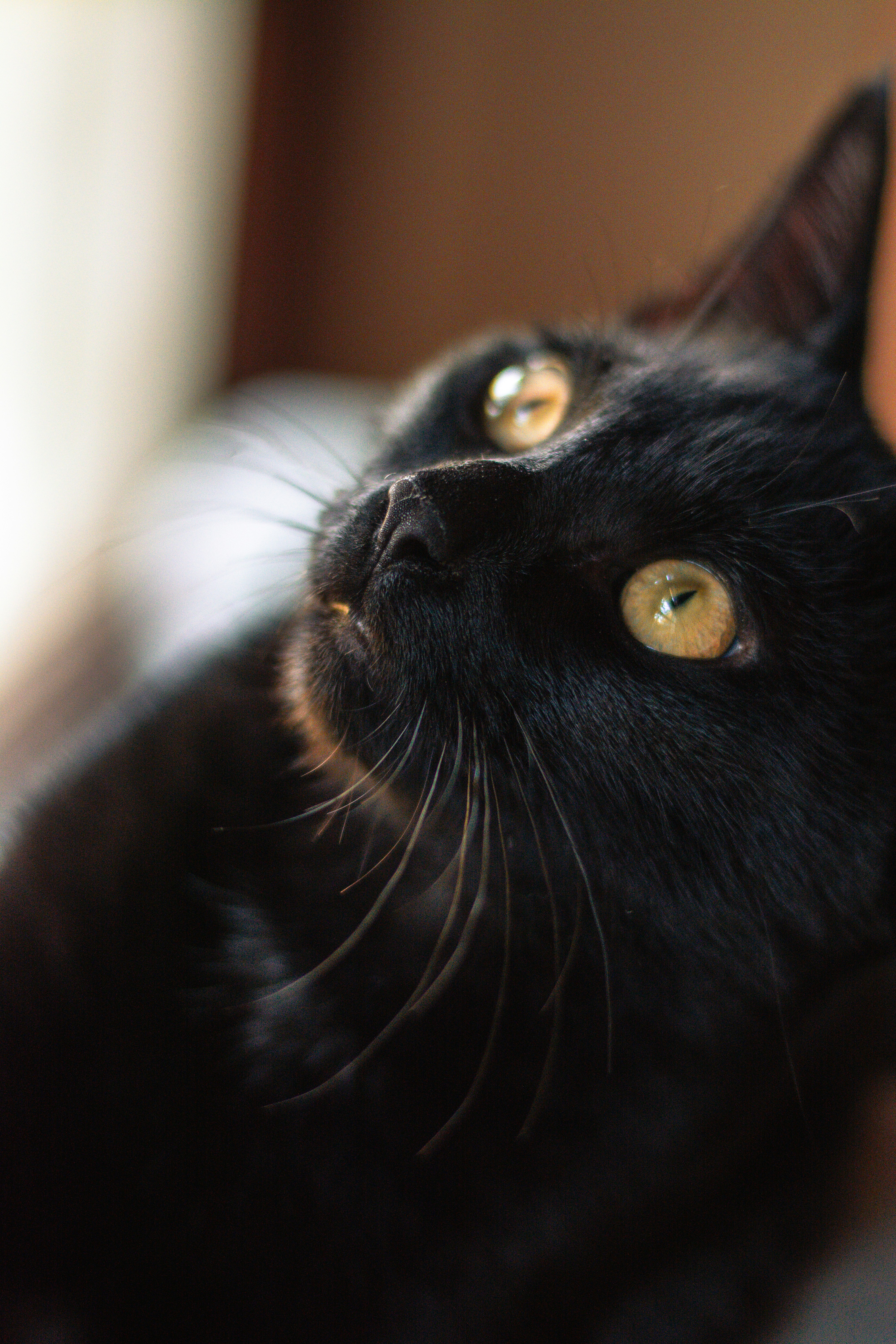 Photo by meaghcafferty