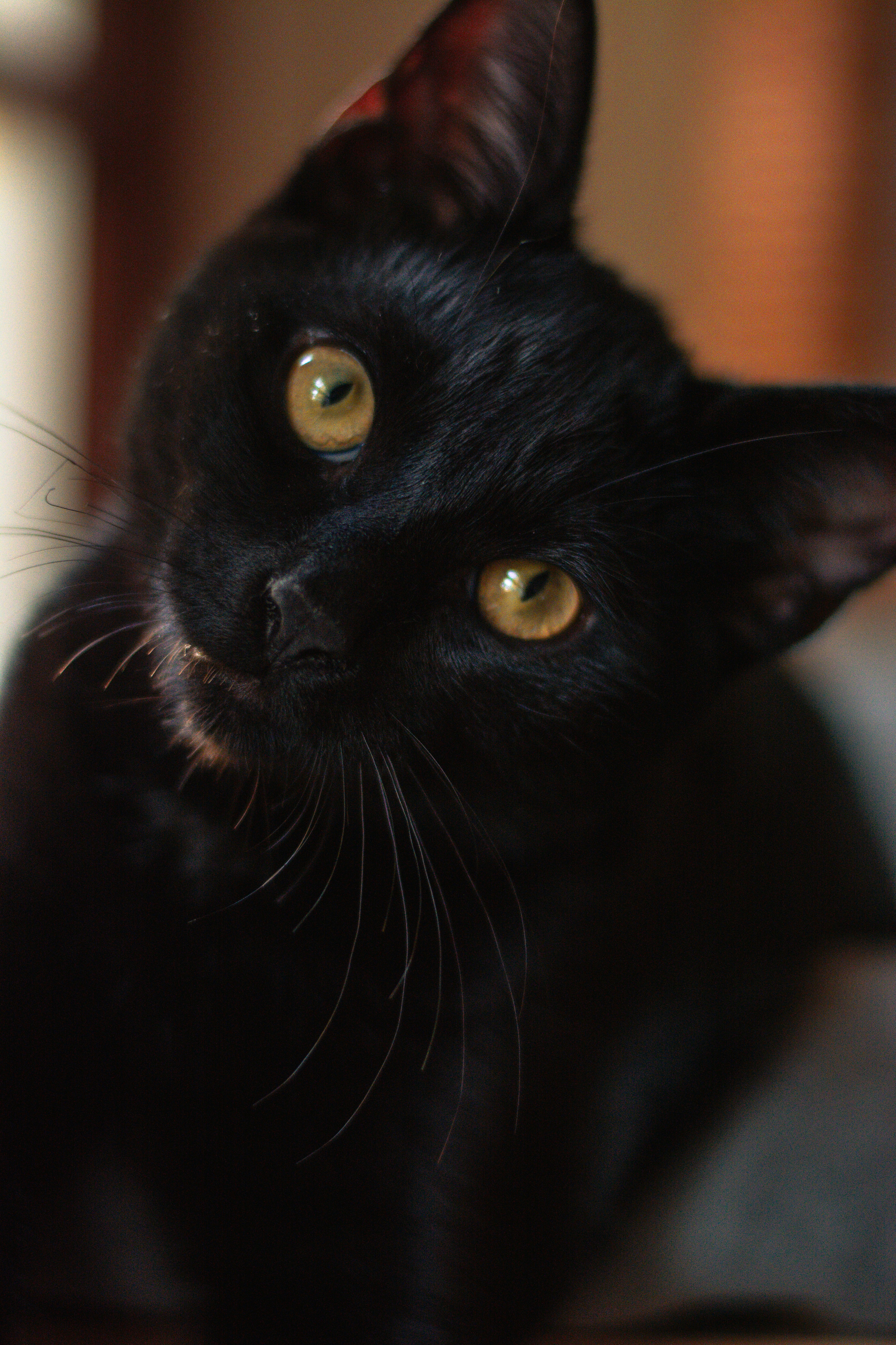 Photo by meaghcafferty