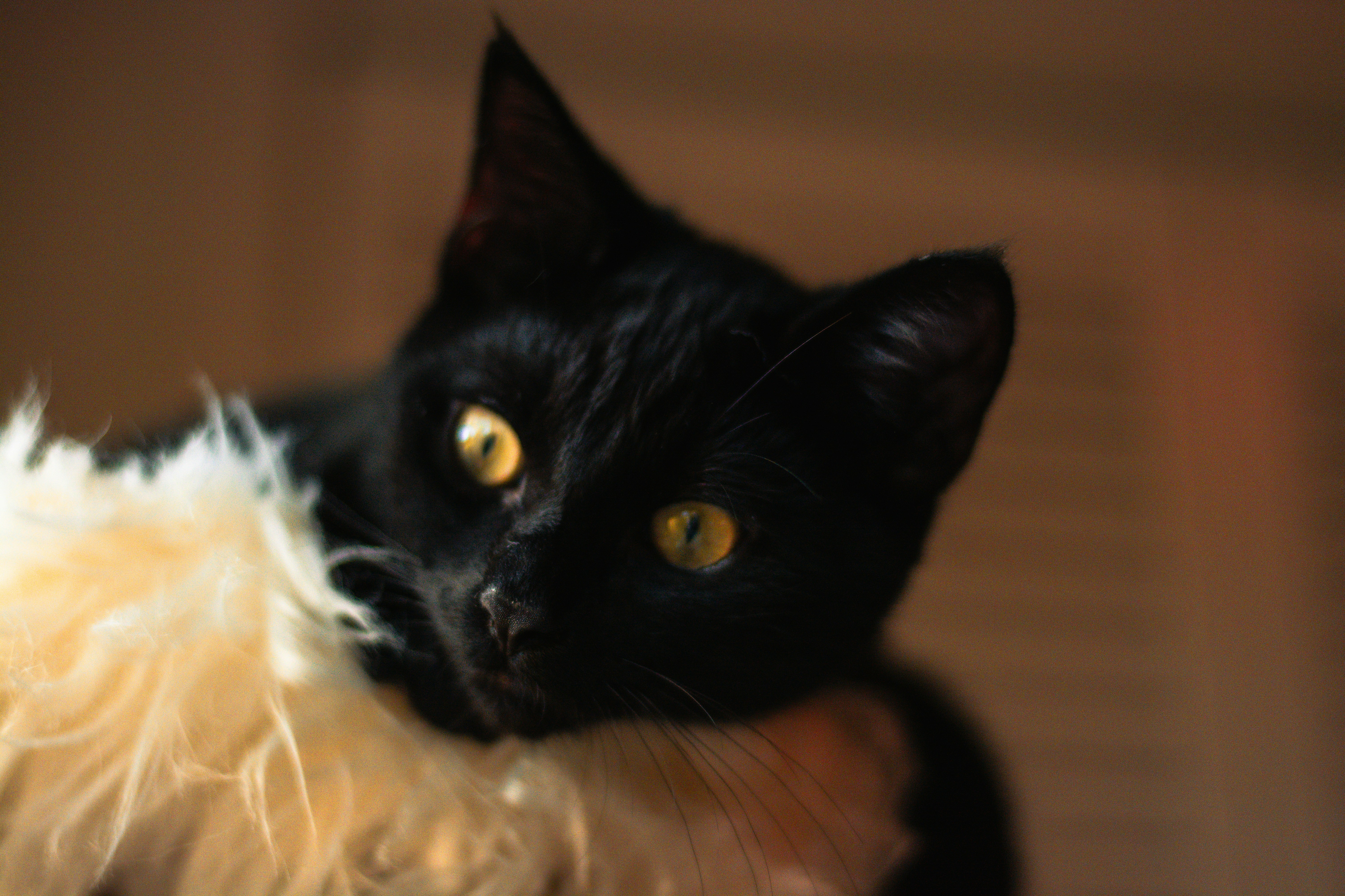 Photo by meaghcafferty