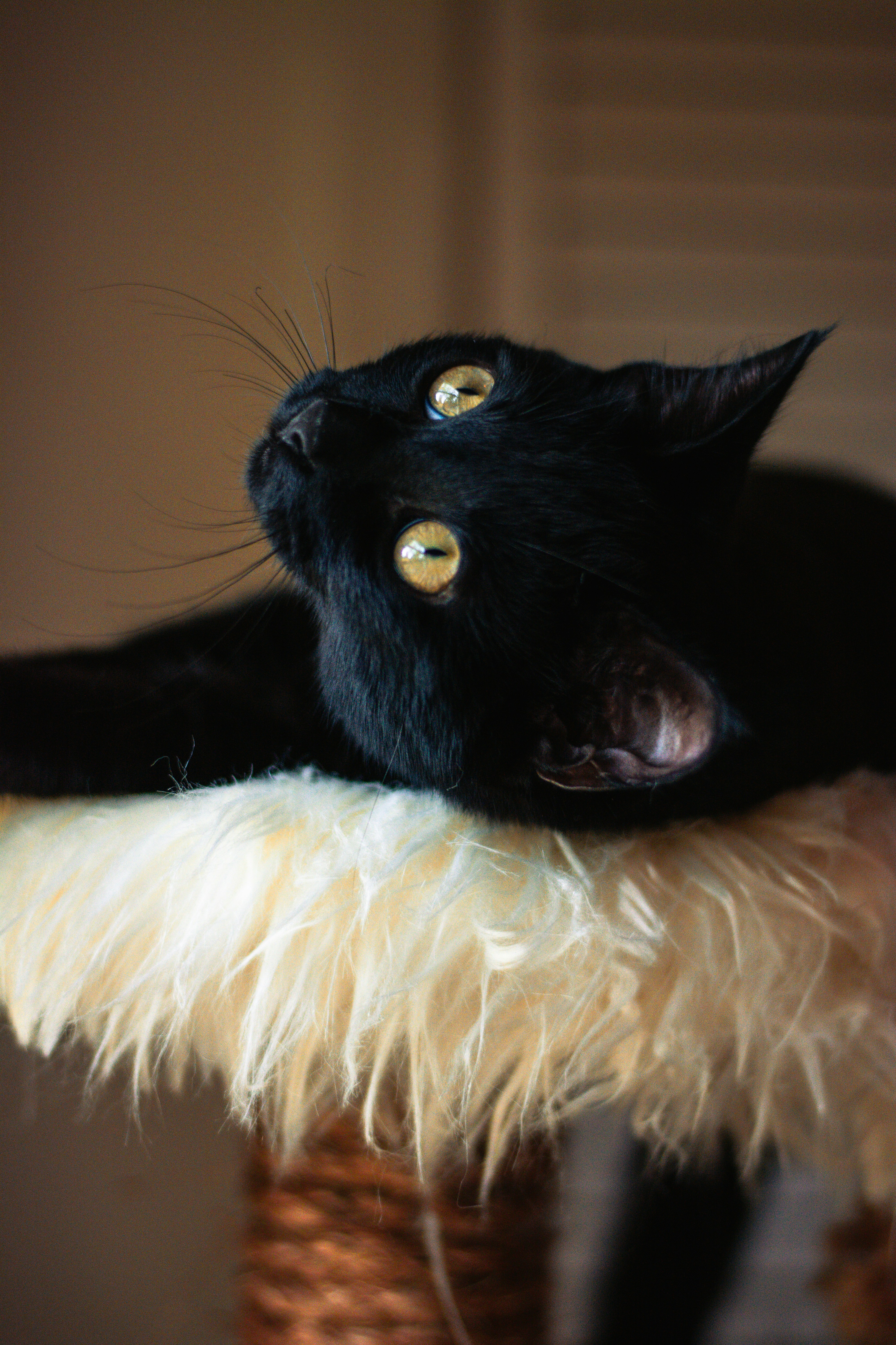 Photo by meaghcafferty