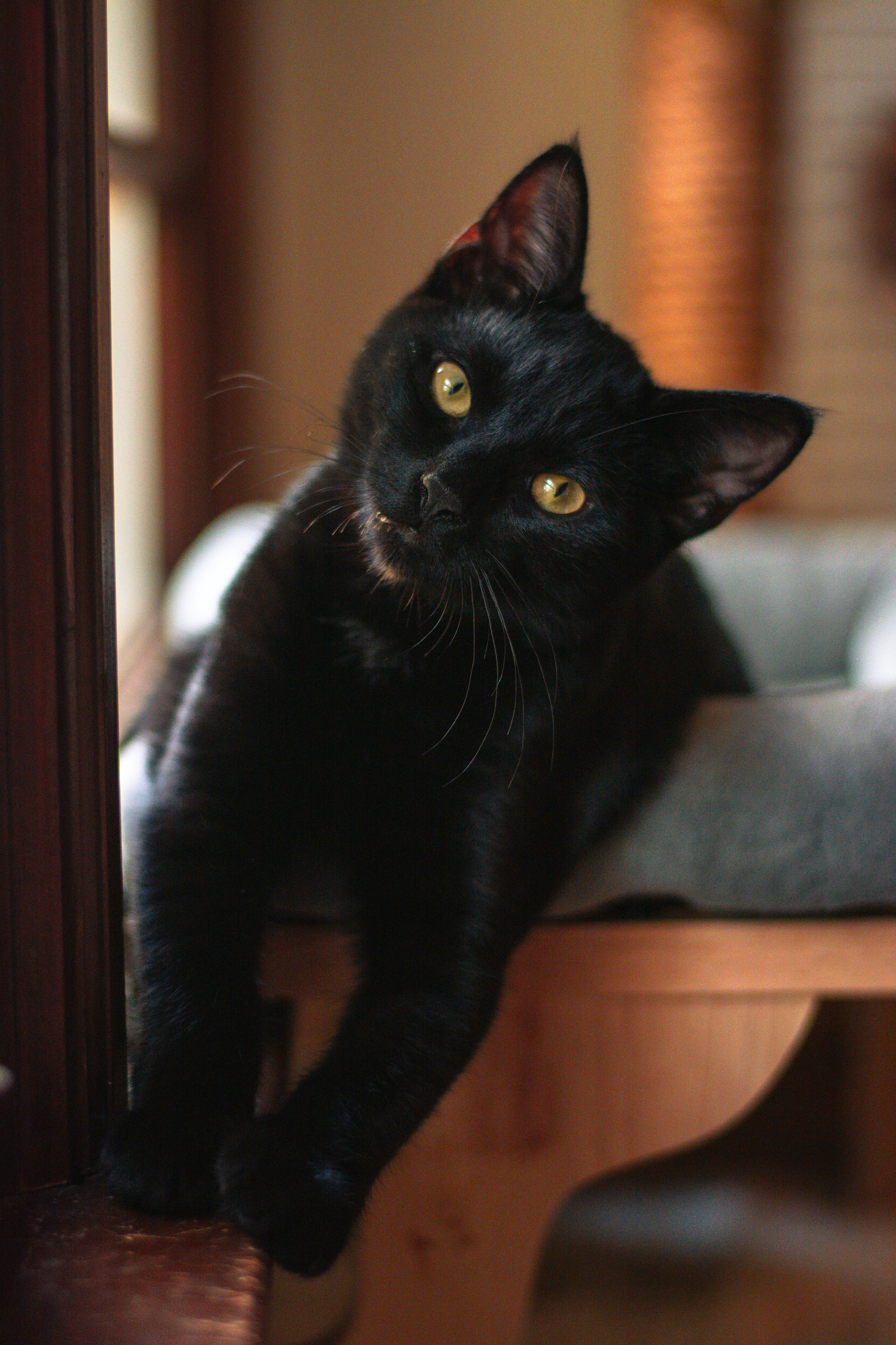 Photo by meaghcafferty