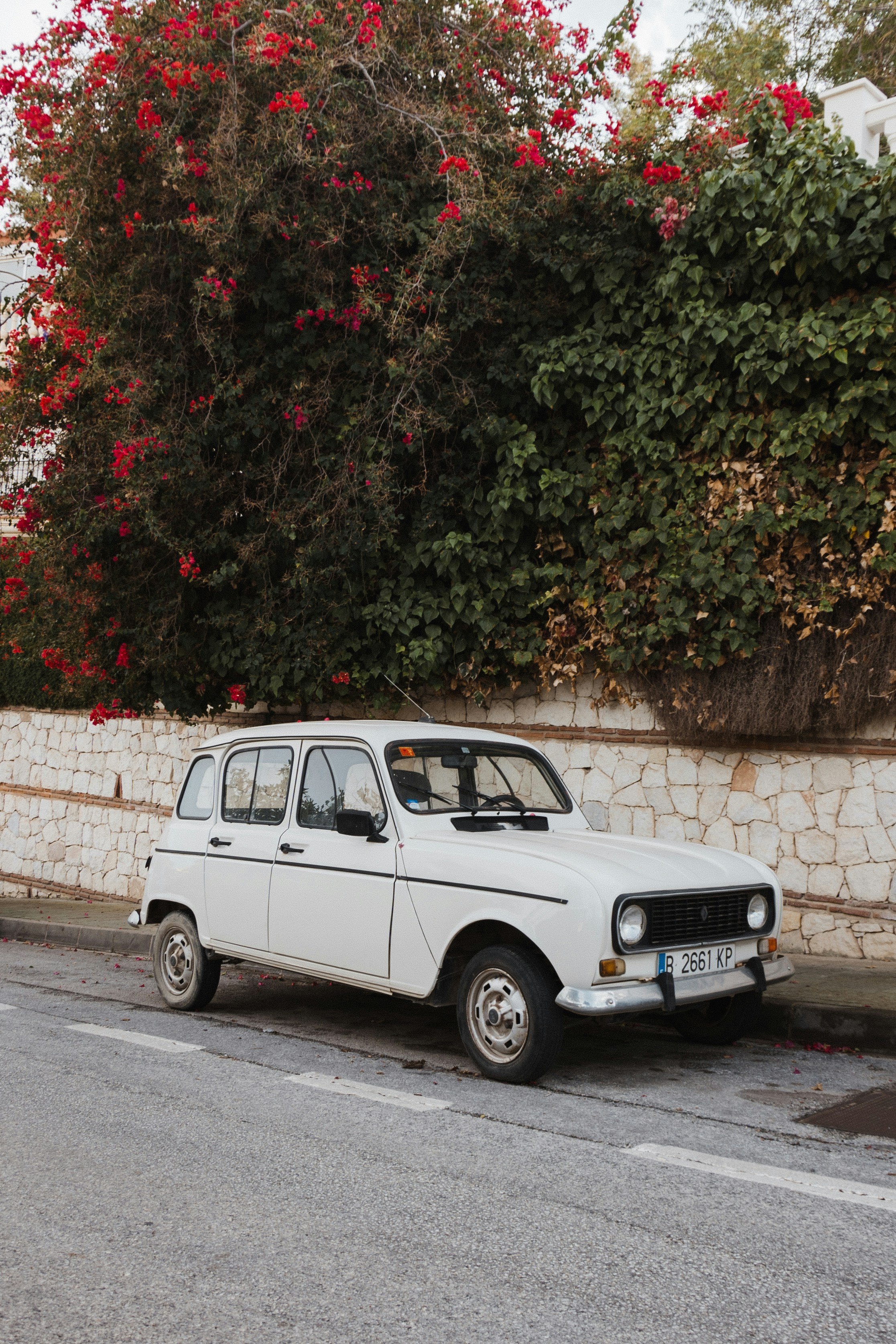 Photo by p_kuzovkova