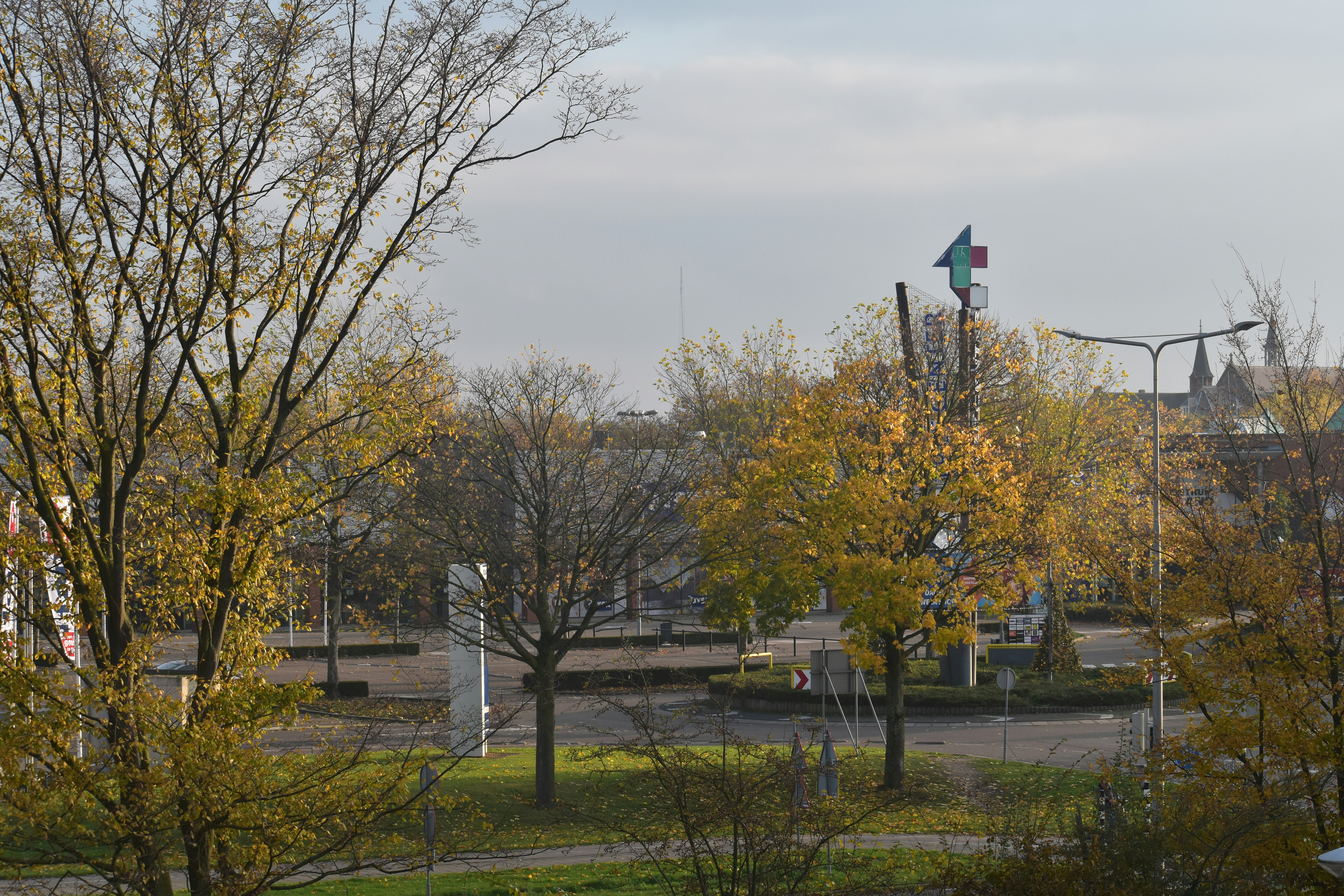 A view of a park with trees and buildings in the background