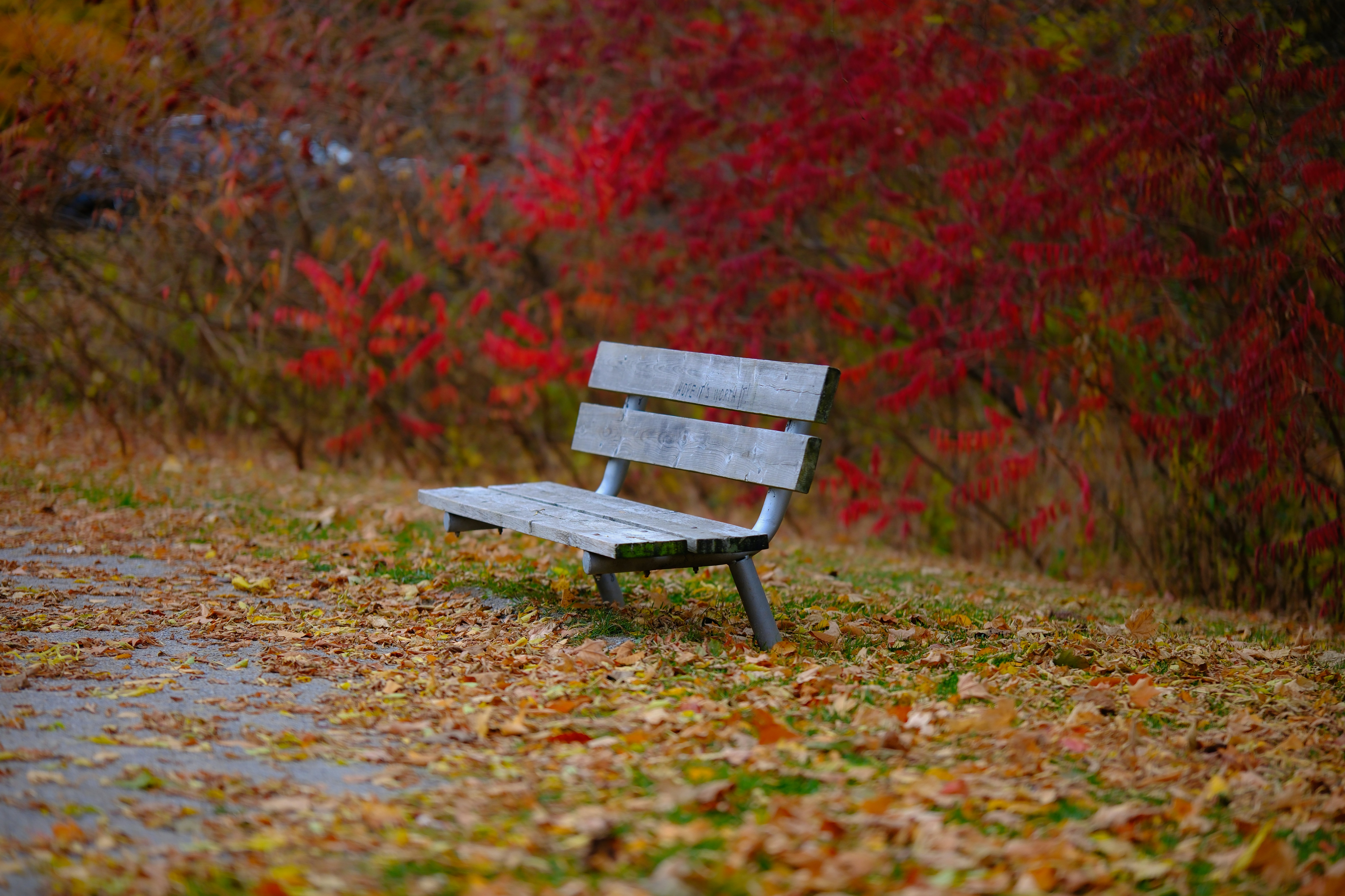 햇볕을 쬐며 산책하는 모습