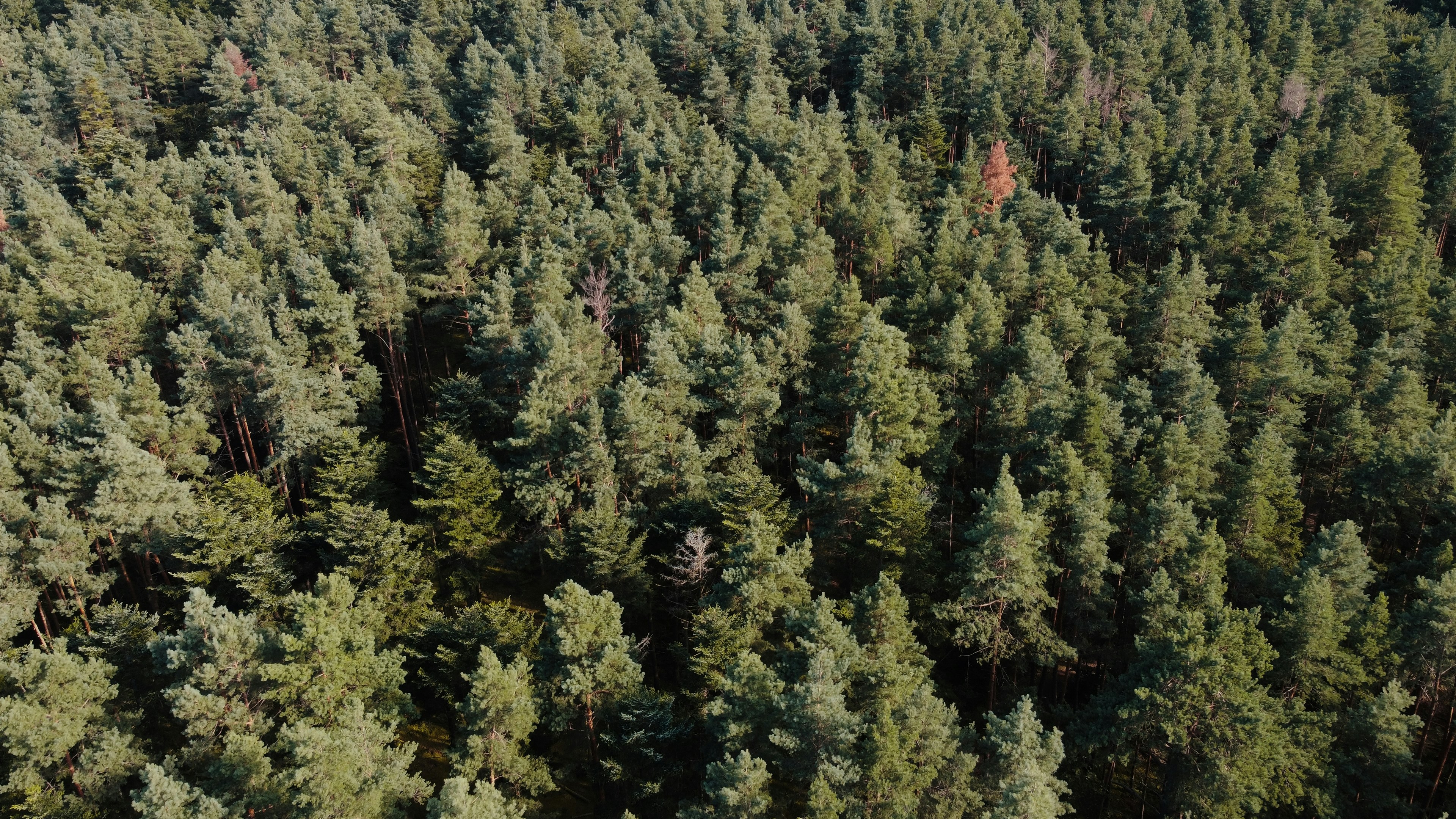 Photo by juliengoettelmann