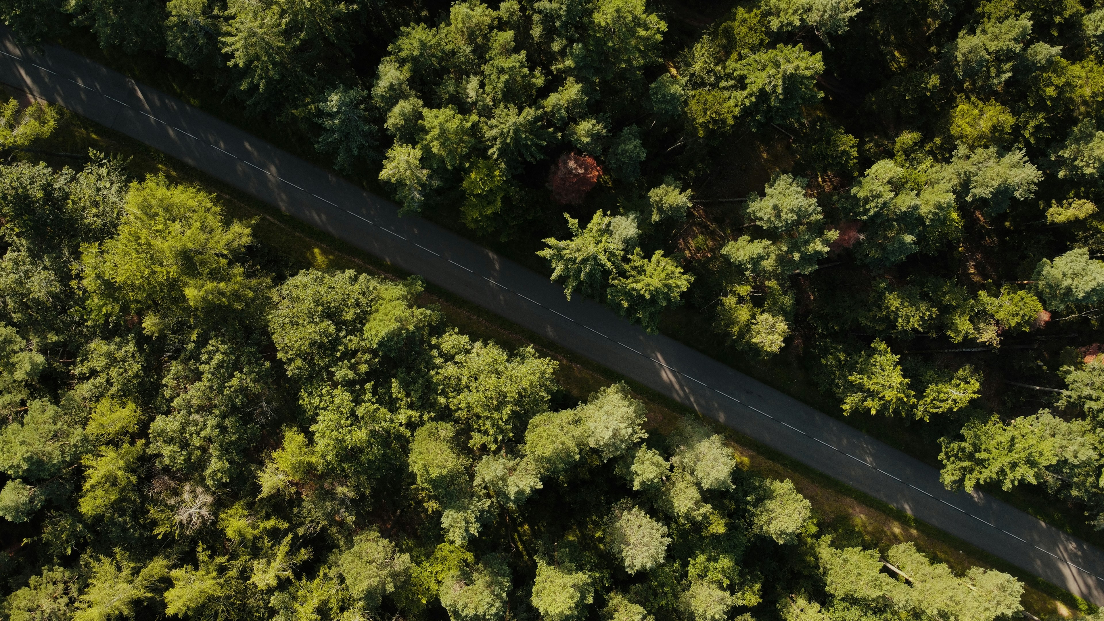 Photo by juliengoettelmann