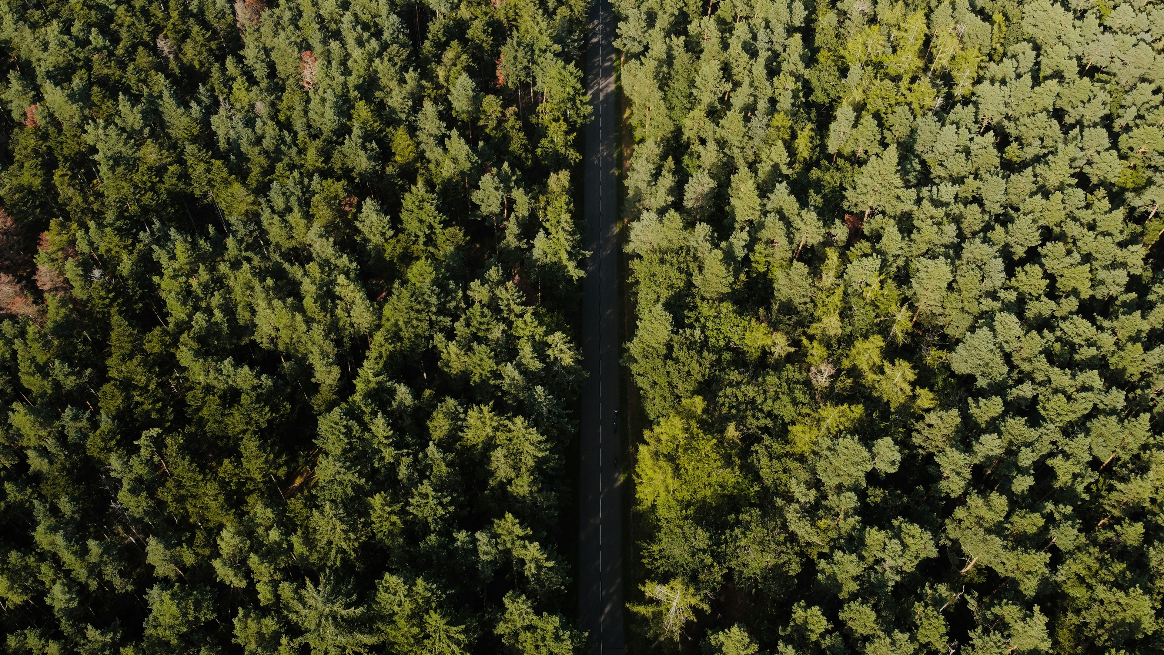 Photo by juliengoettelmann