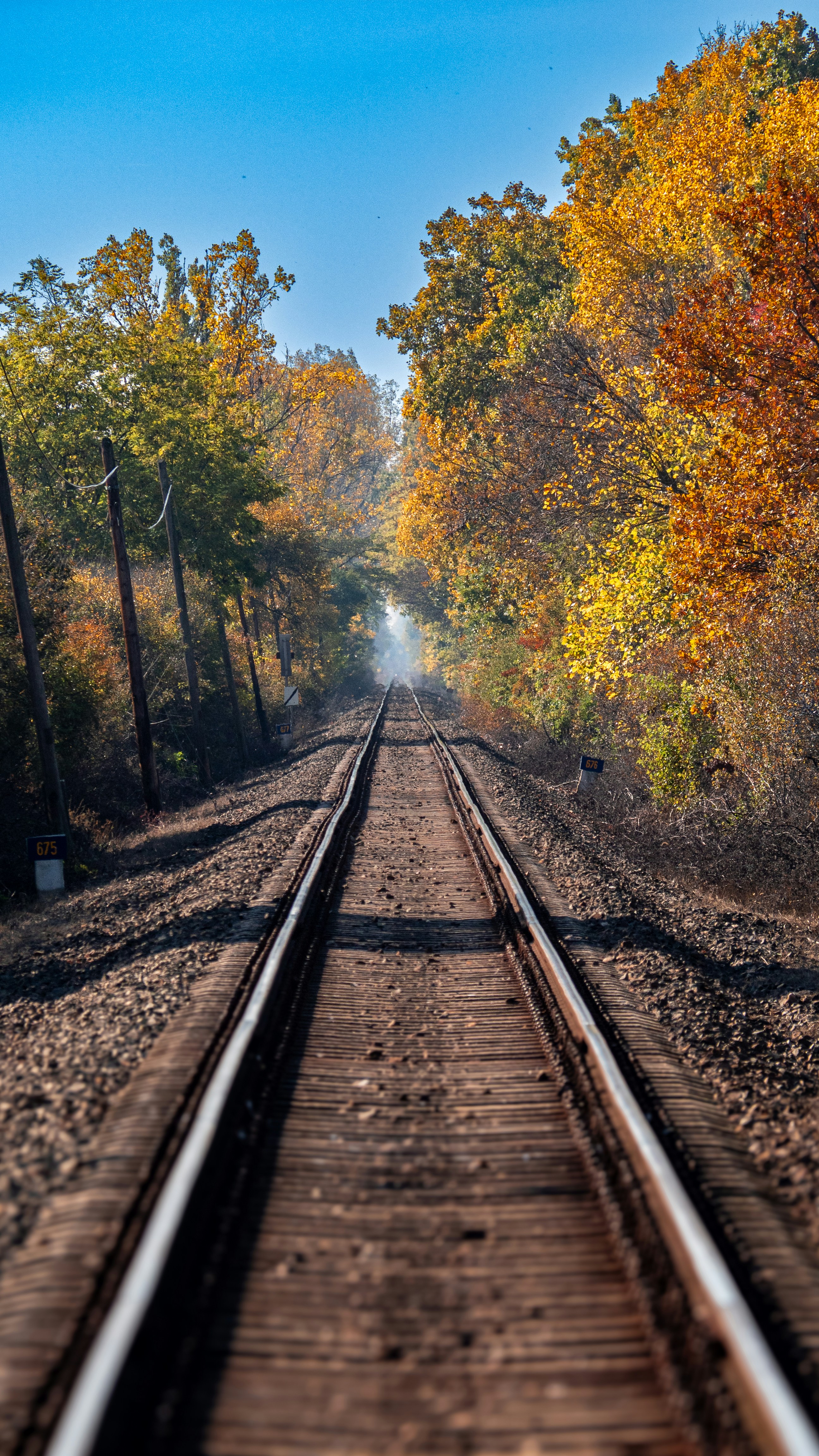 A train track in the middle of a wooded area