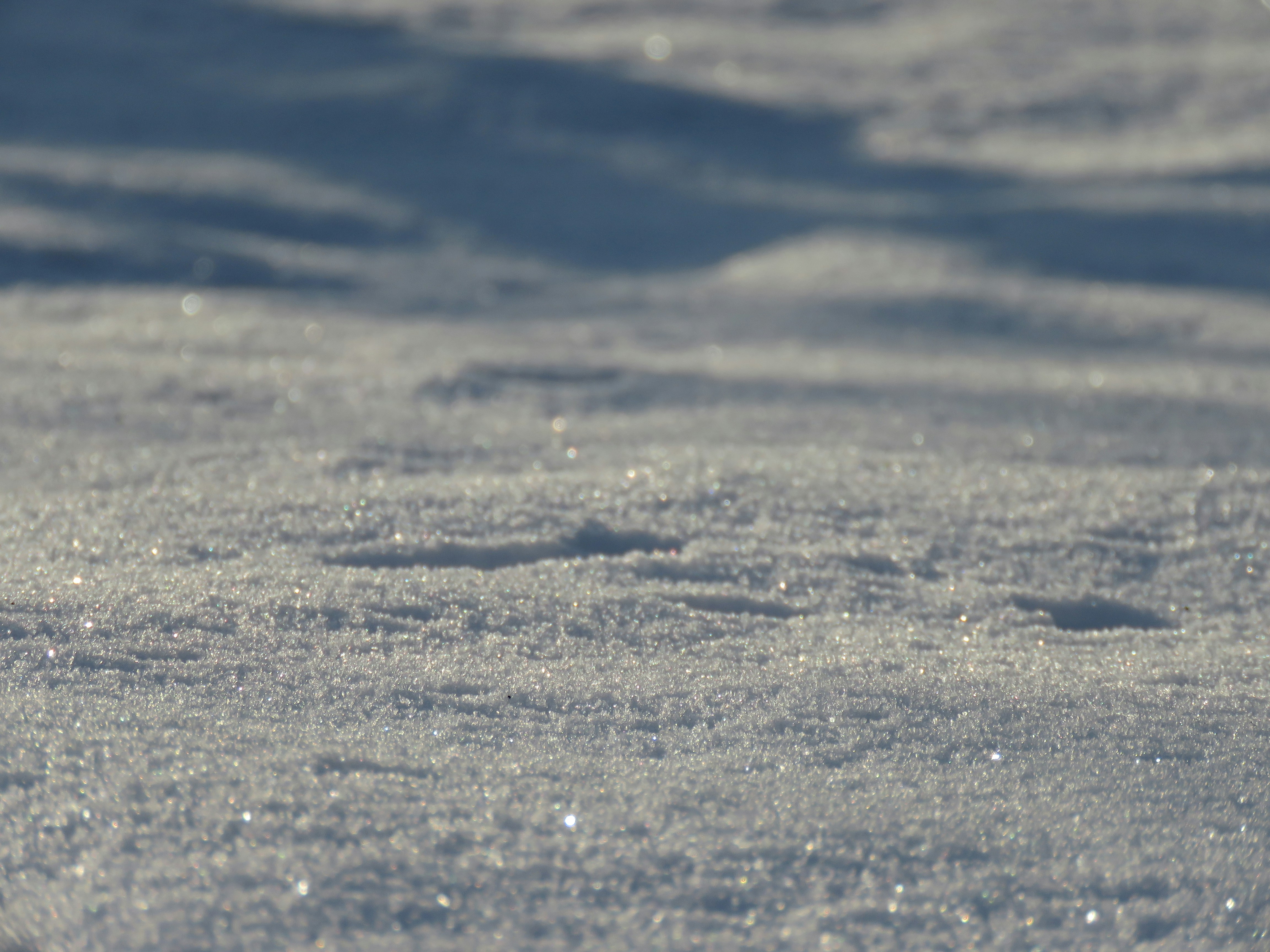 Photo by themi_photos