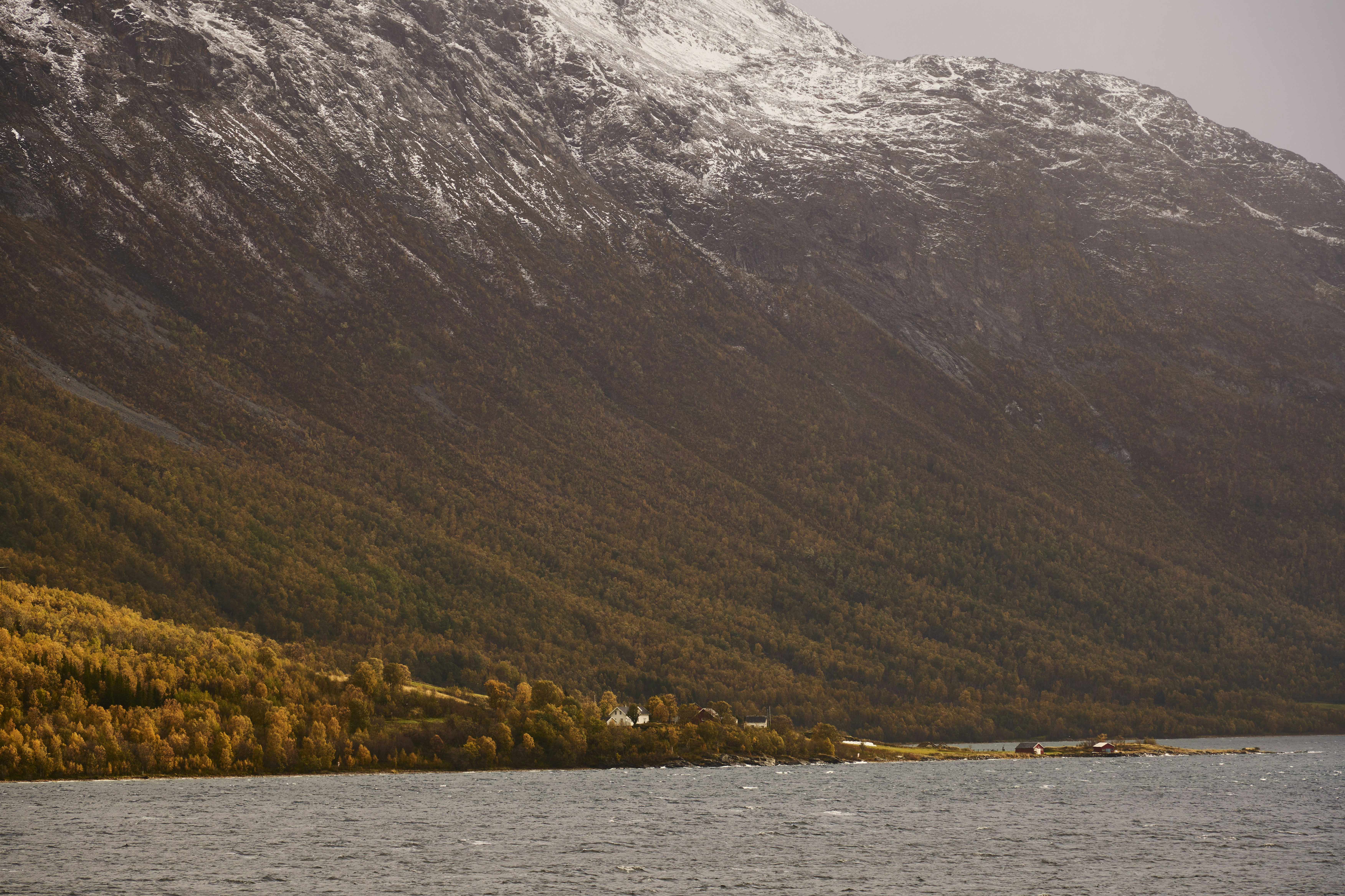 Photo by wolfgang_hasselmann