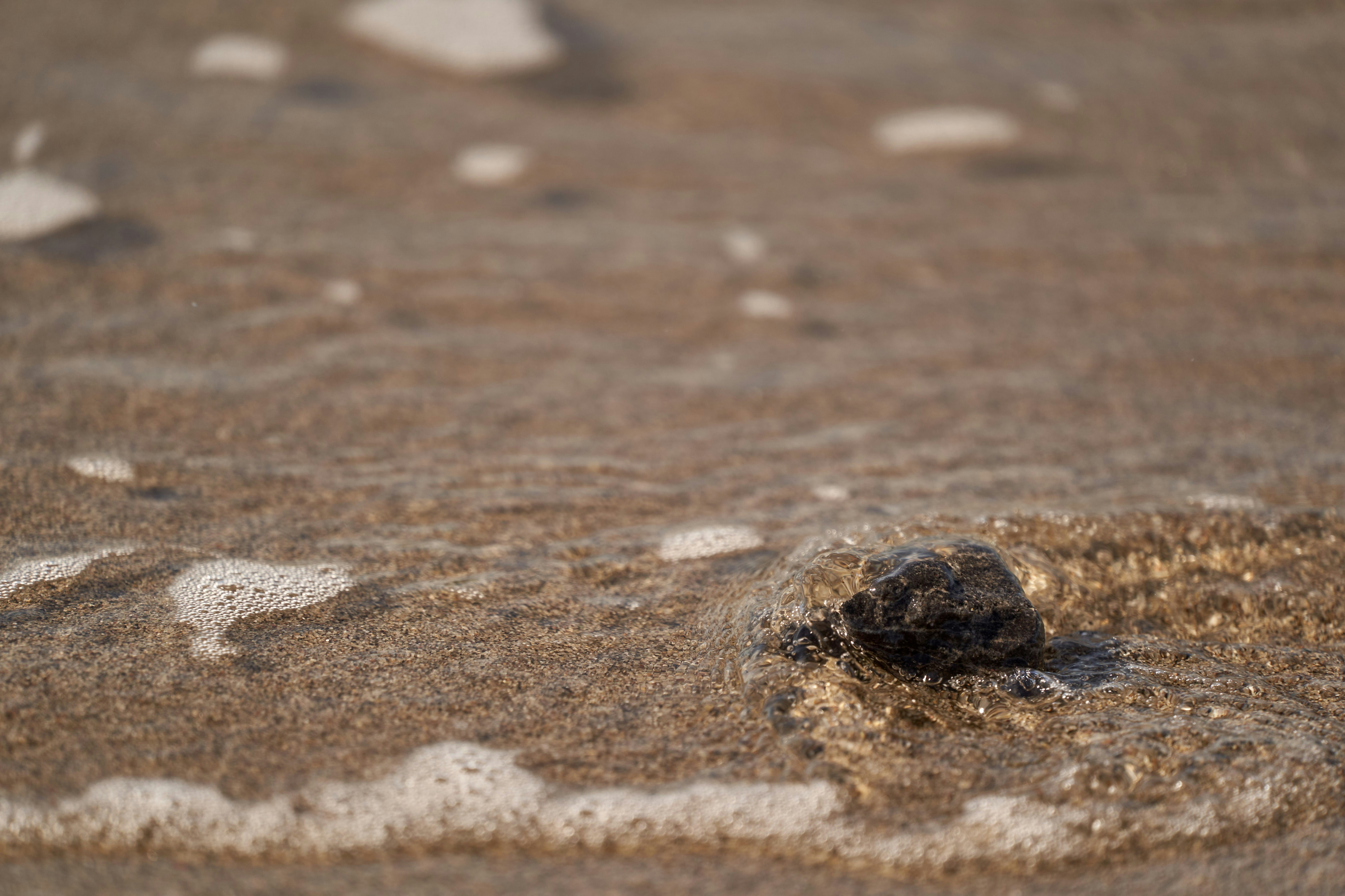 Photo by wolfgang_hasselmann