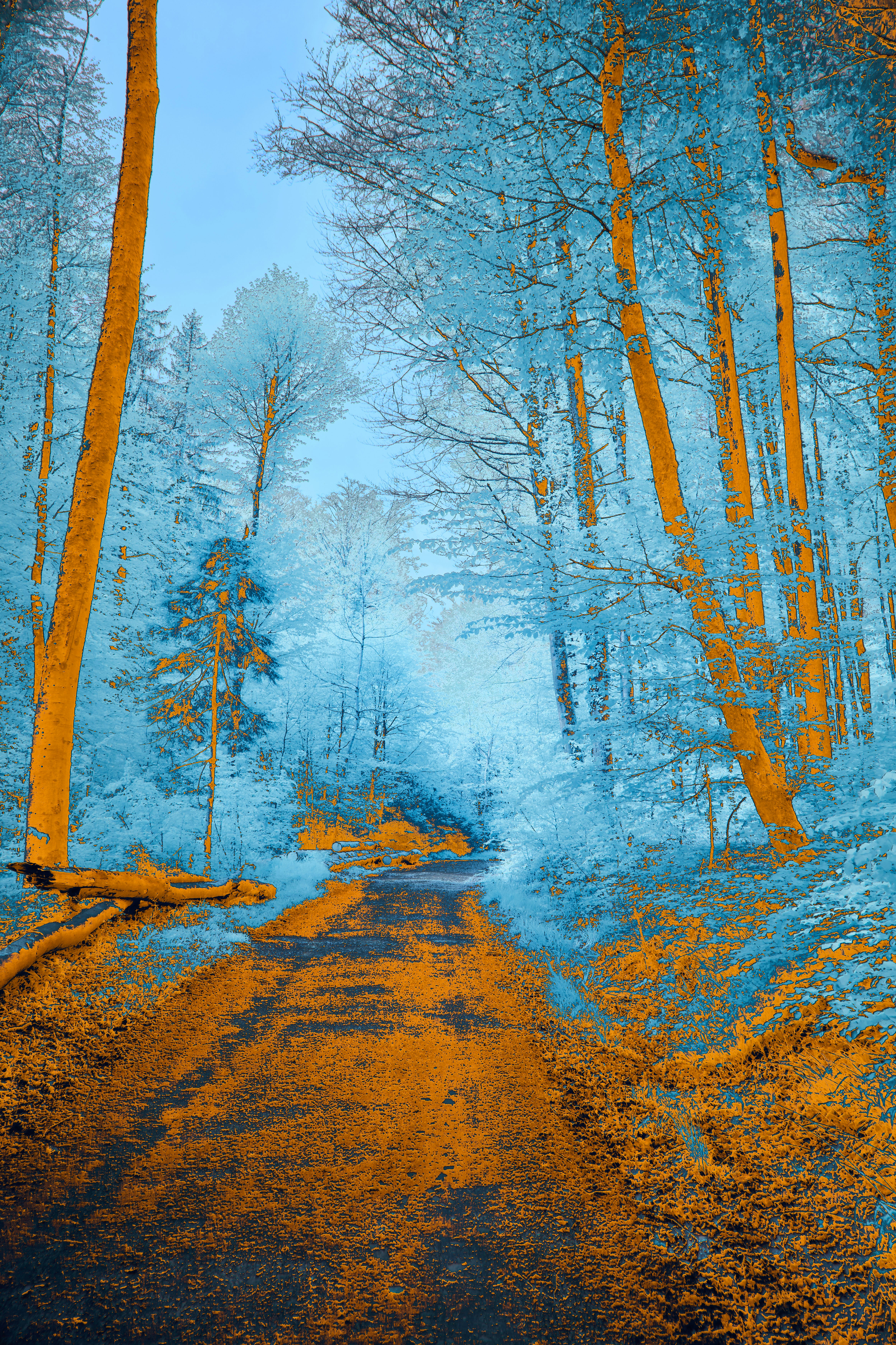 Photo by wolfgang_hasselmann