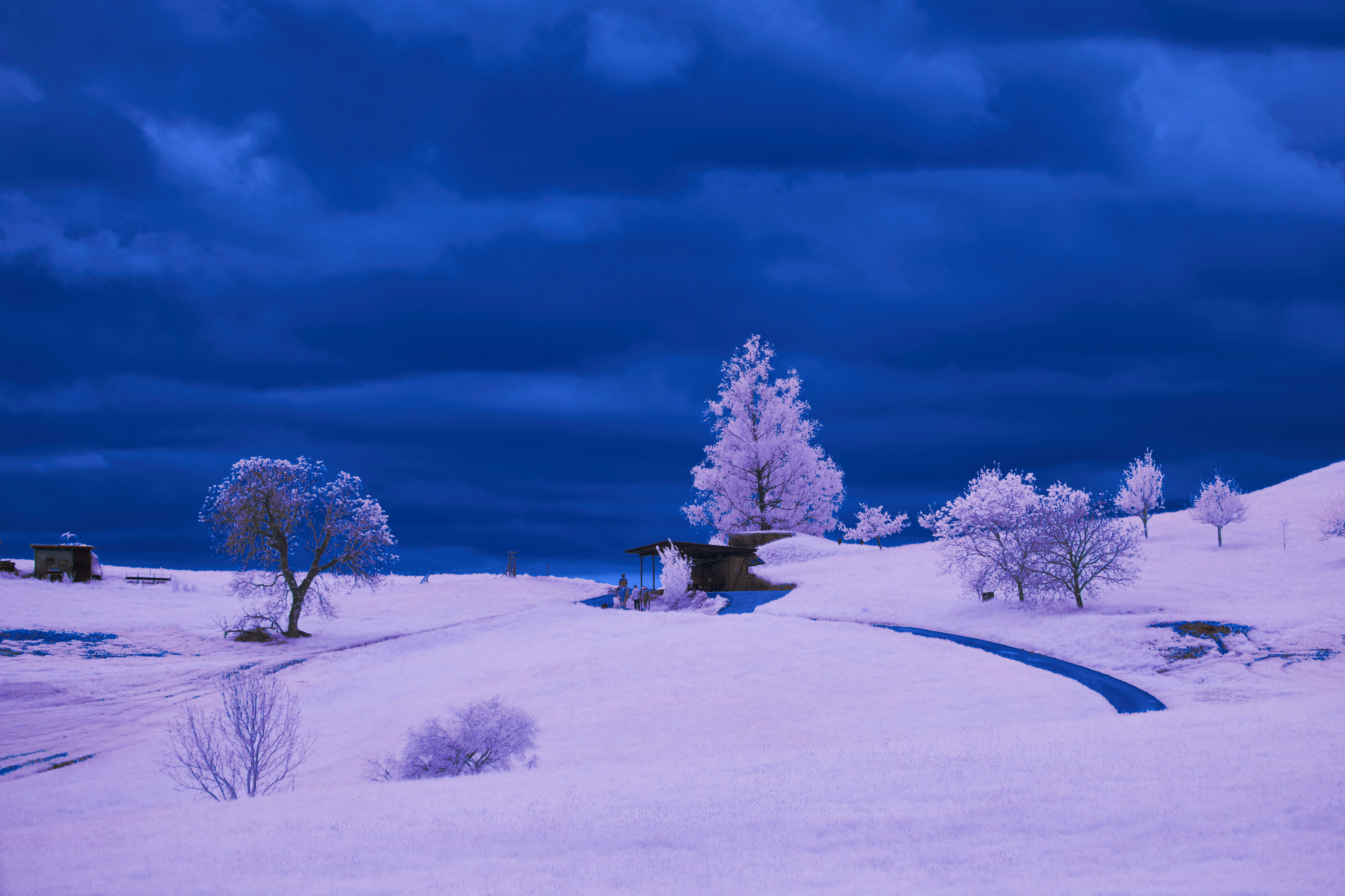 Photo by wolfgang_hasselmann