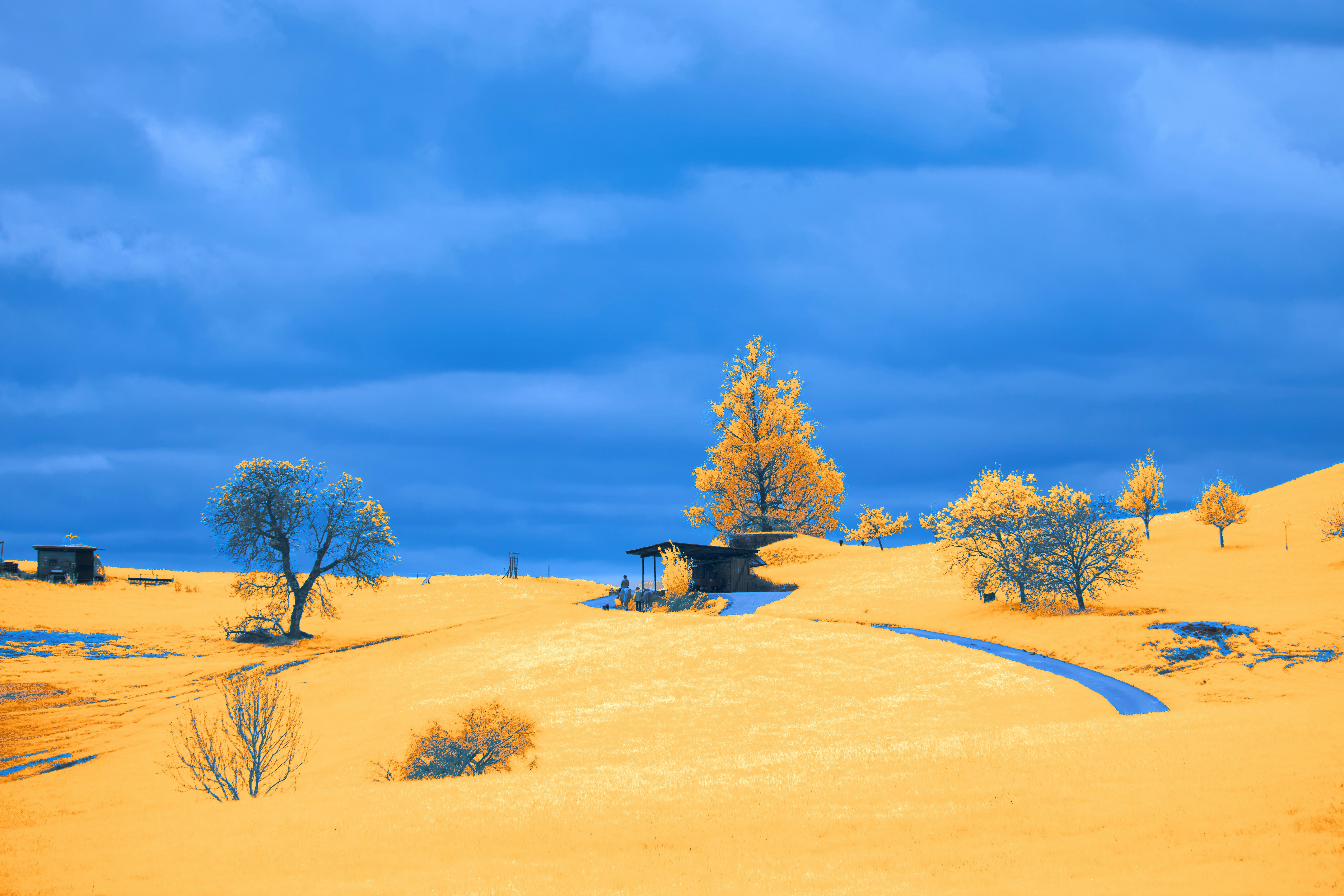 Photo by wolfgang_hasselmann