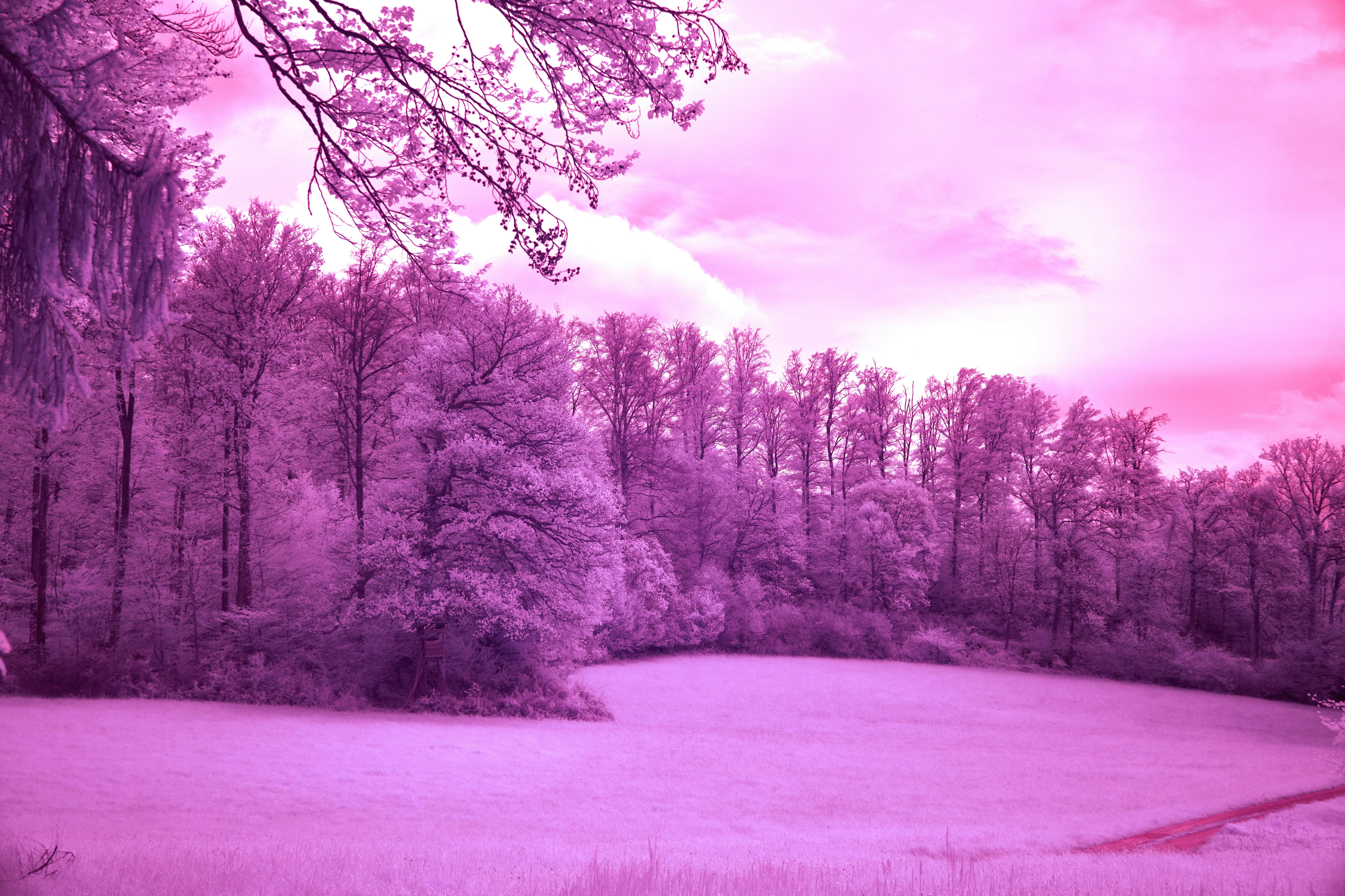 Photo by wolfgang_hasselmann