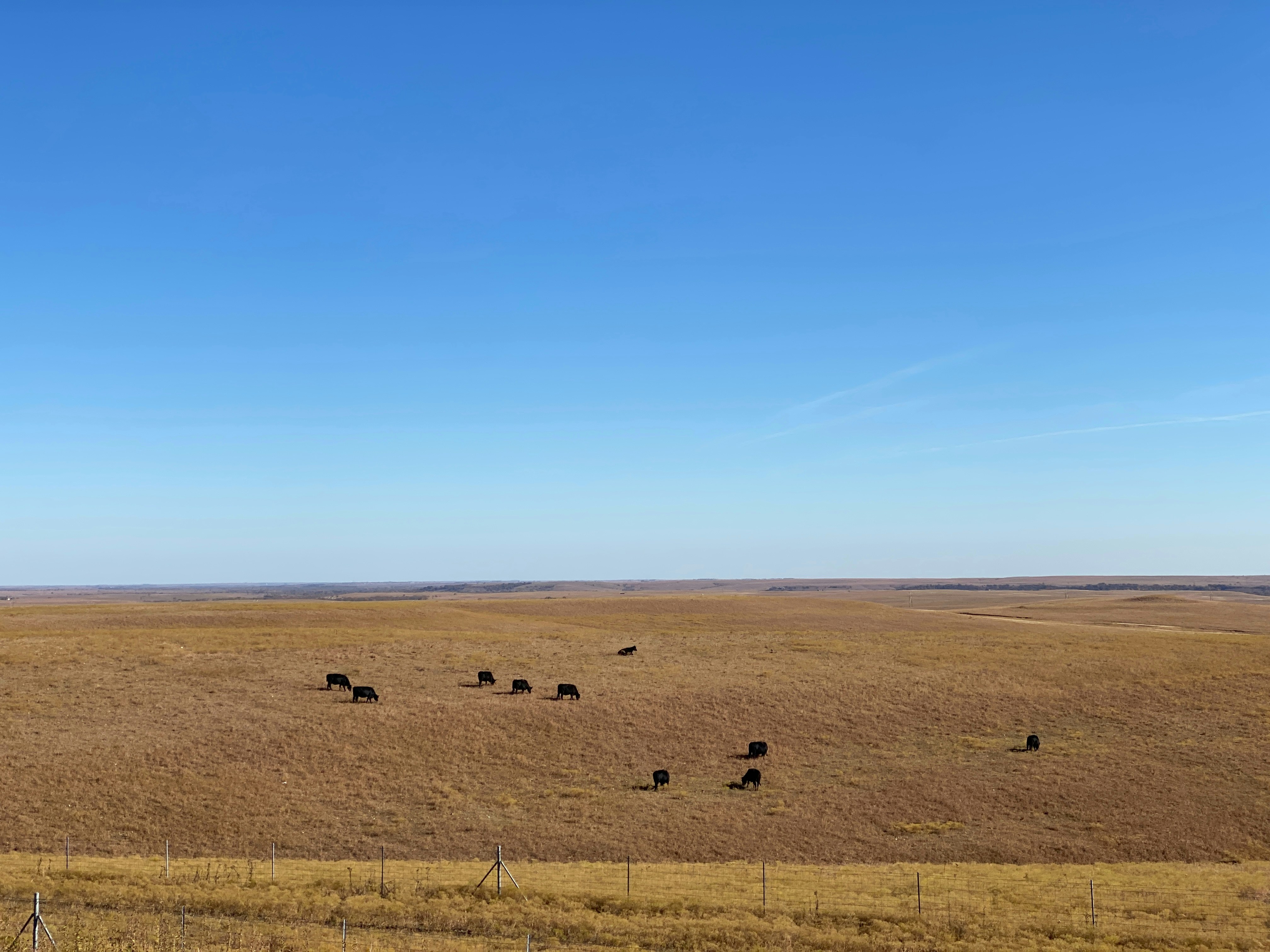 Photo by americanjael