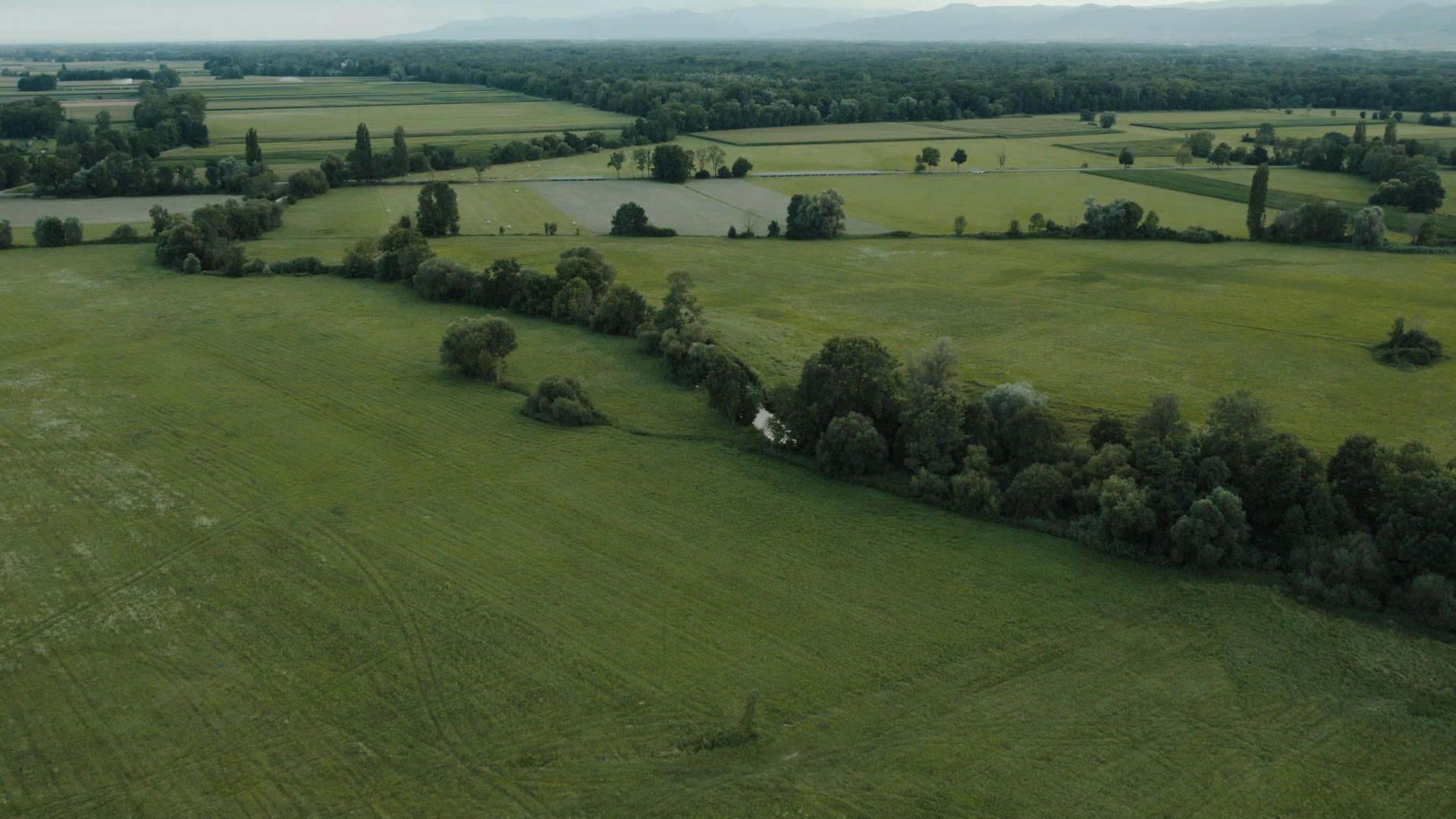 An aerial view of a large field with trees