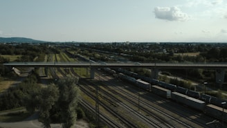 A train traveling over a bridge over a lush green field
