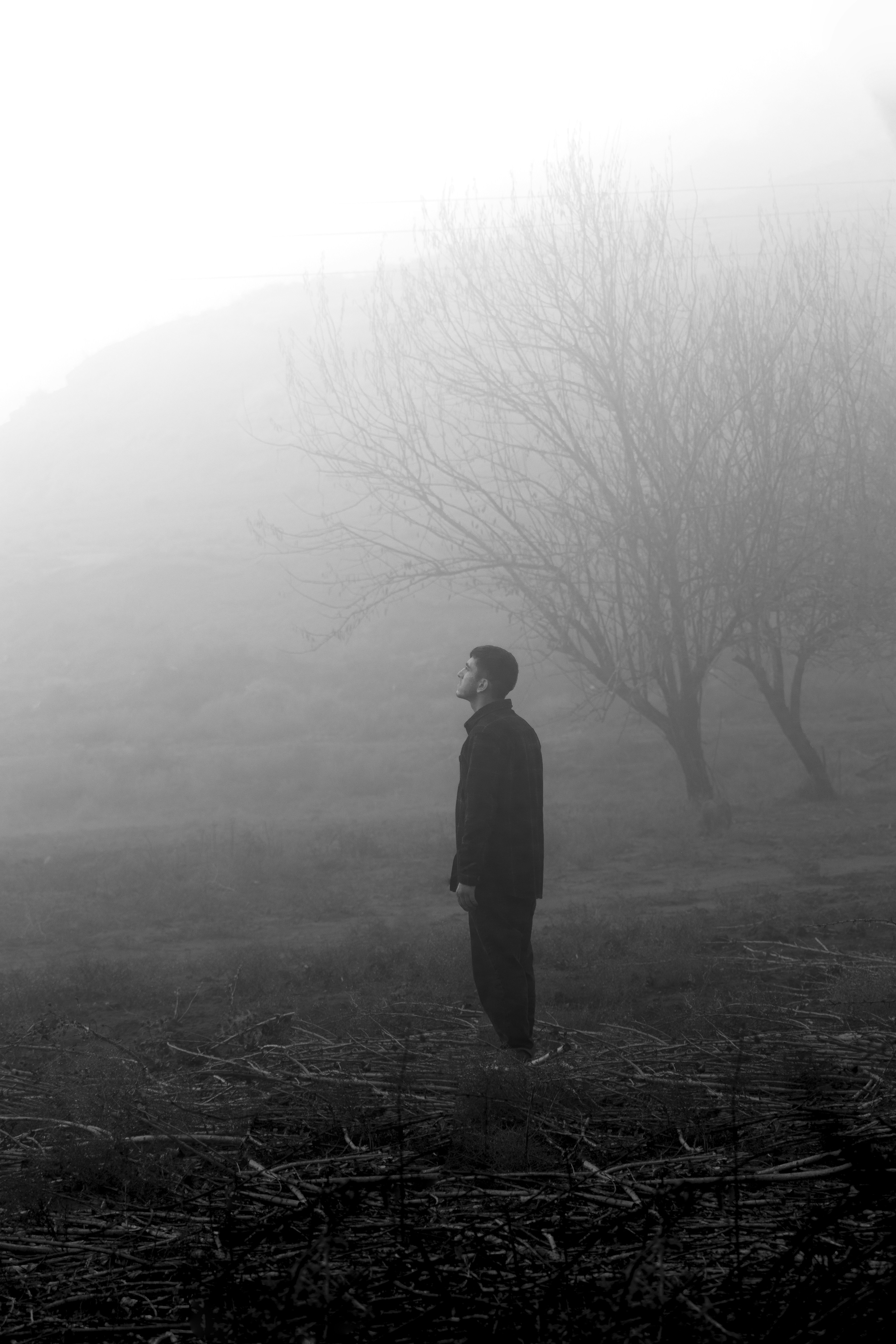A man standing in a field on a foggy day